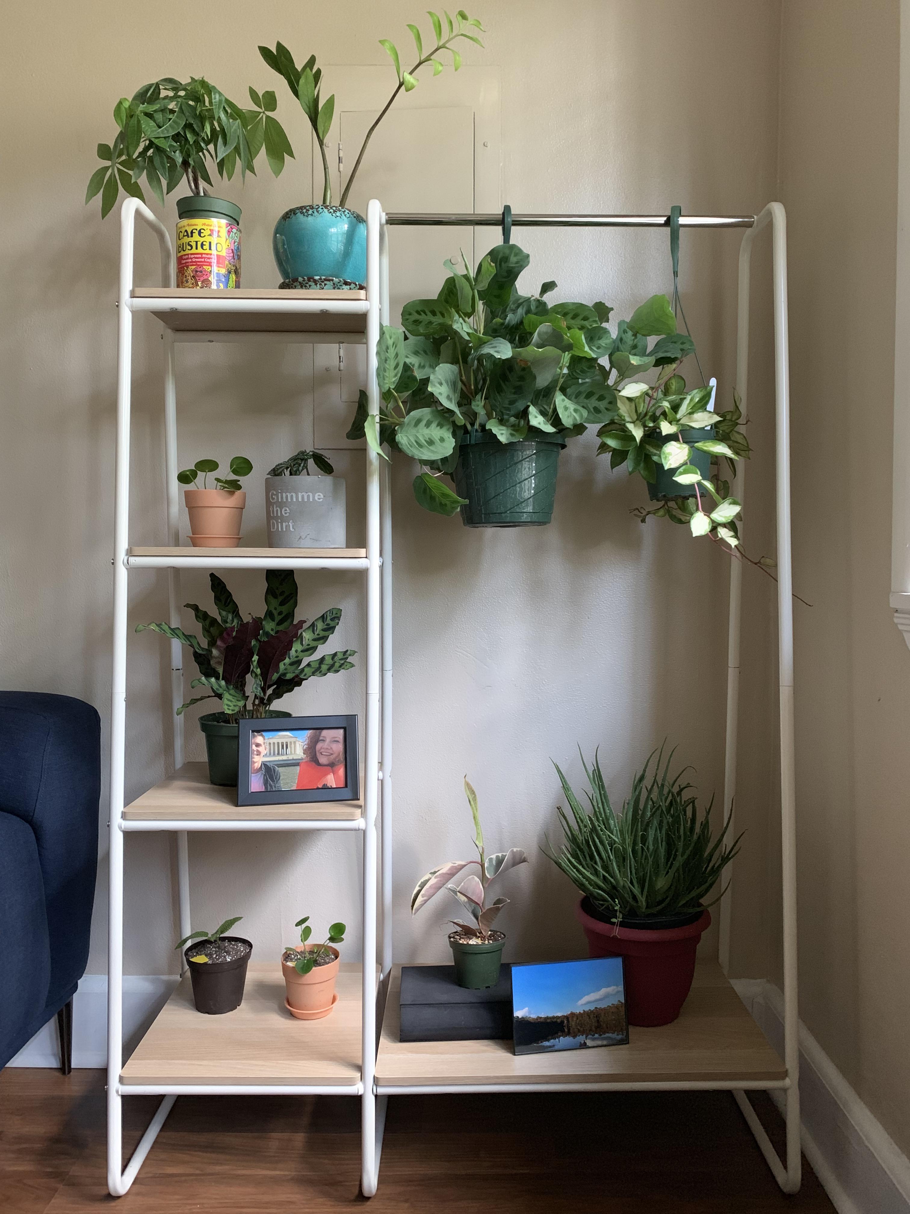 turned a garment rack into a plant stand r/houseplants