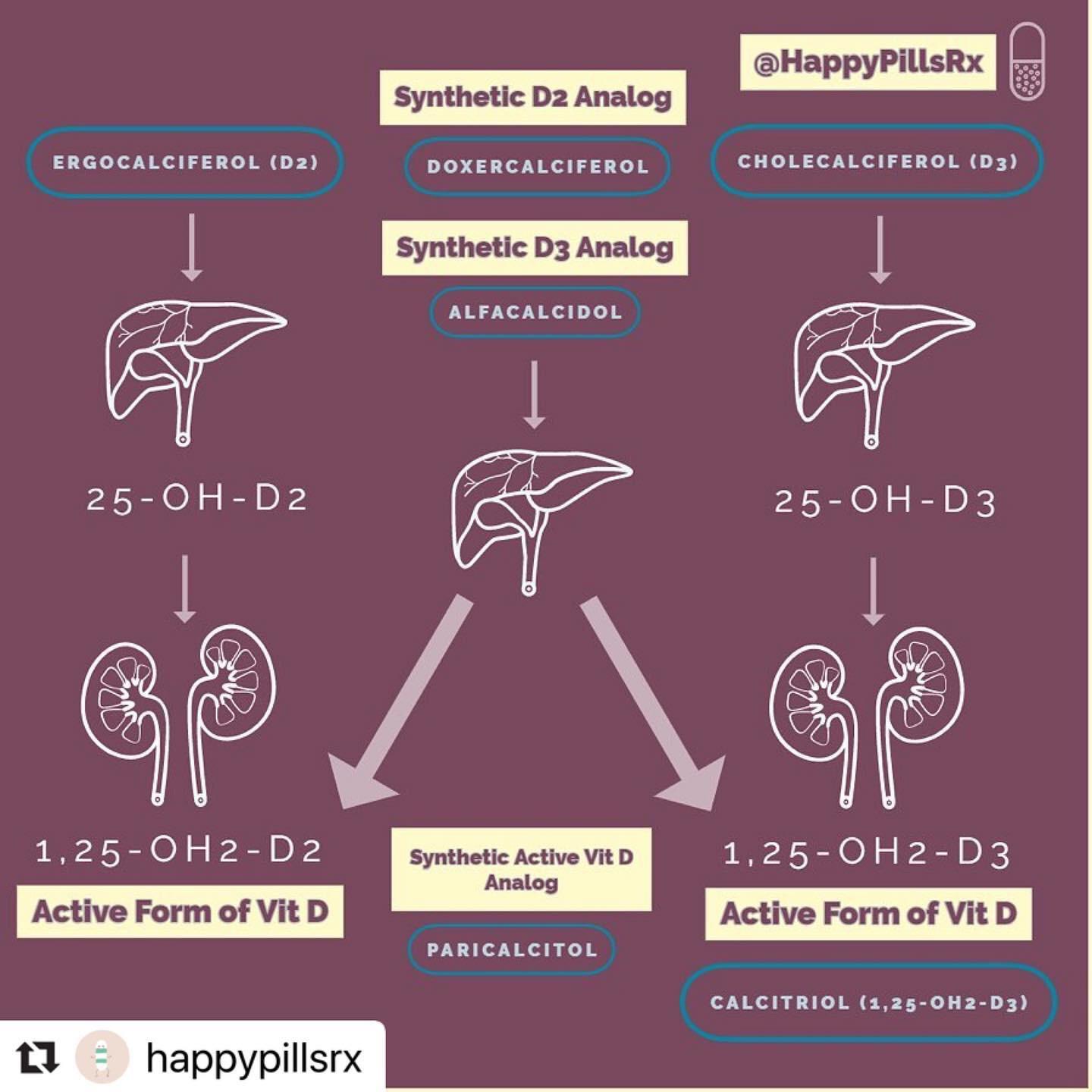 Vitamin D Metabolism r/pharmacy