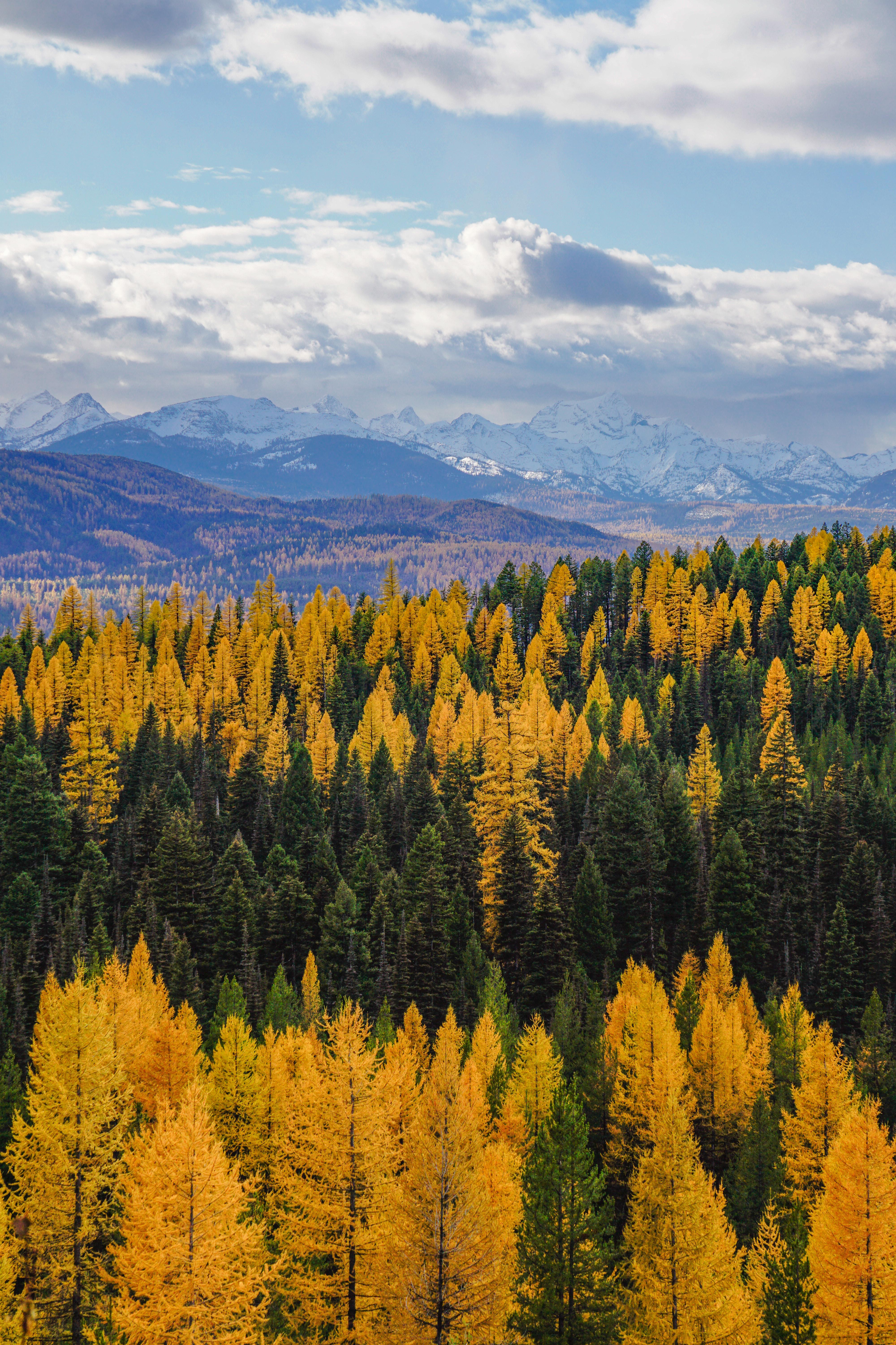 Autumn in Montana. We don't get as many colors as the east coast, but