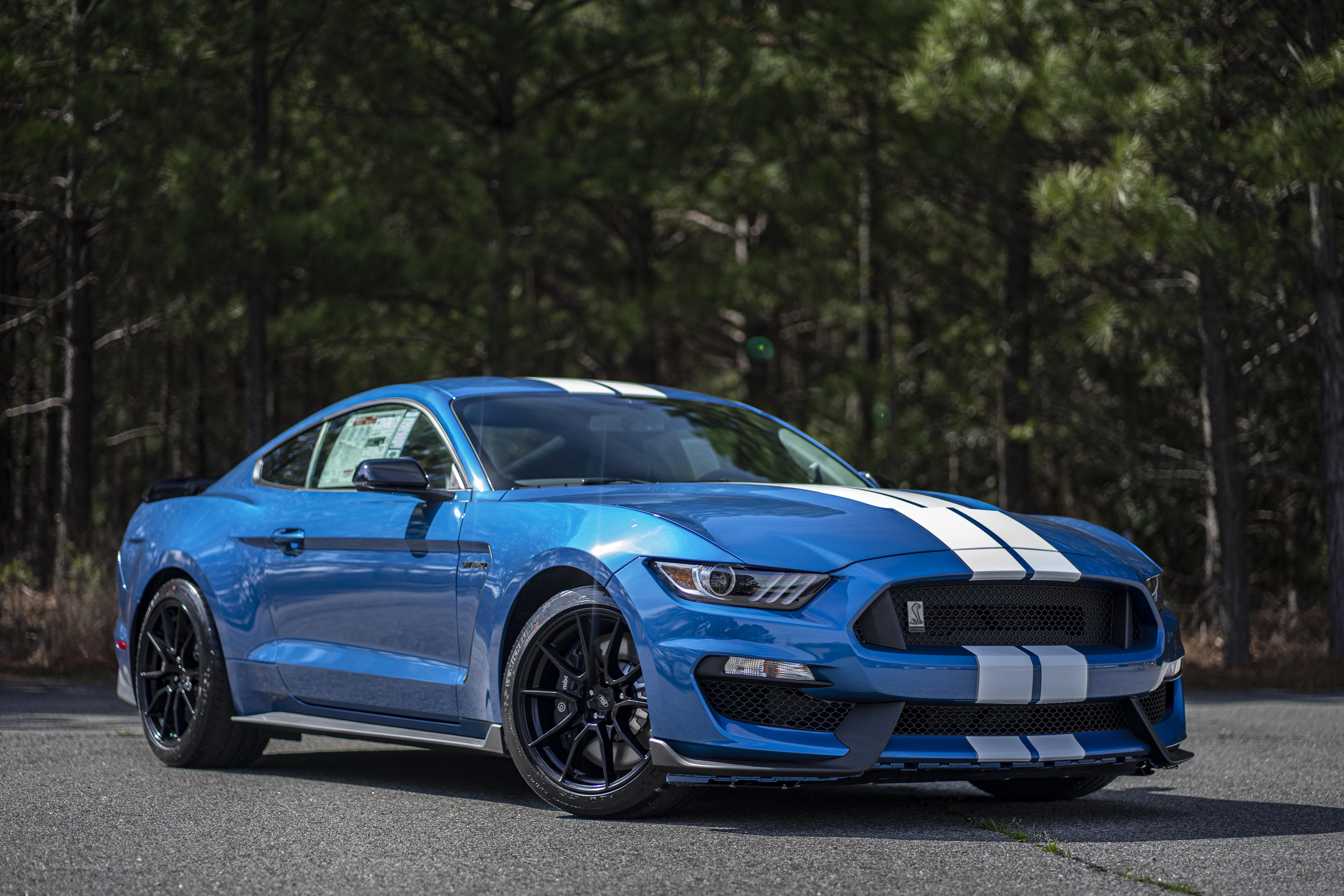 2020 GT350 in Performance Blue fresh off the truck. (Reason for no