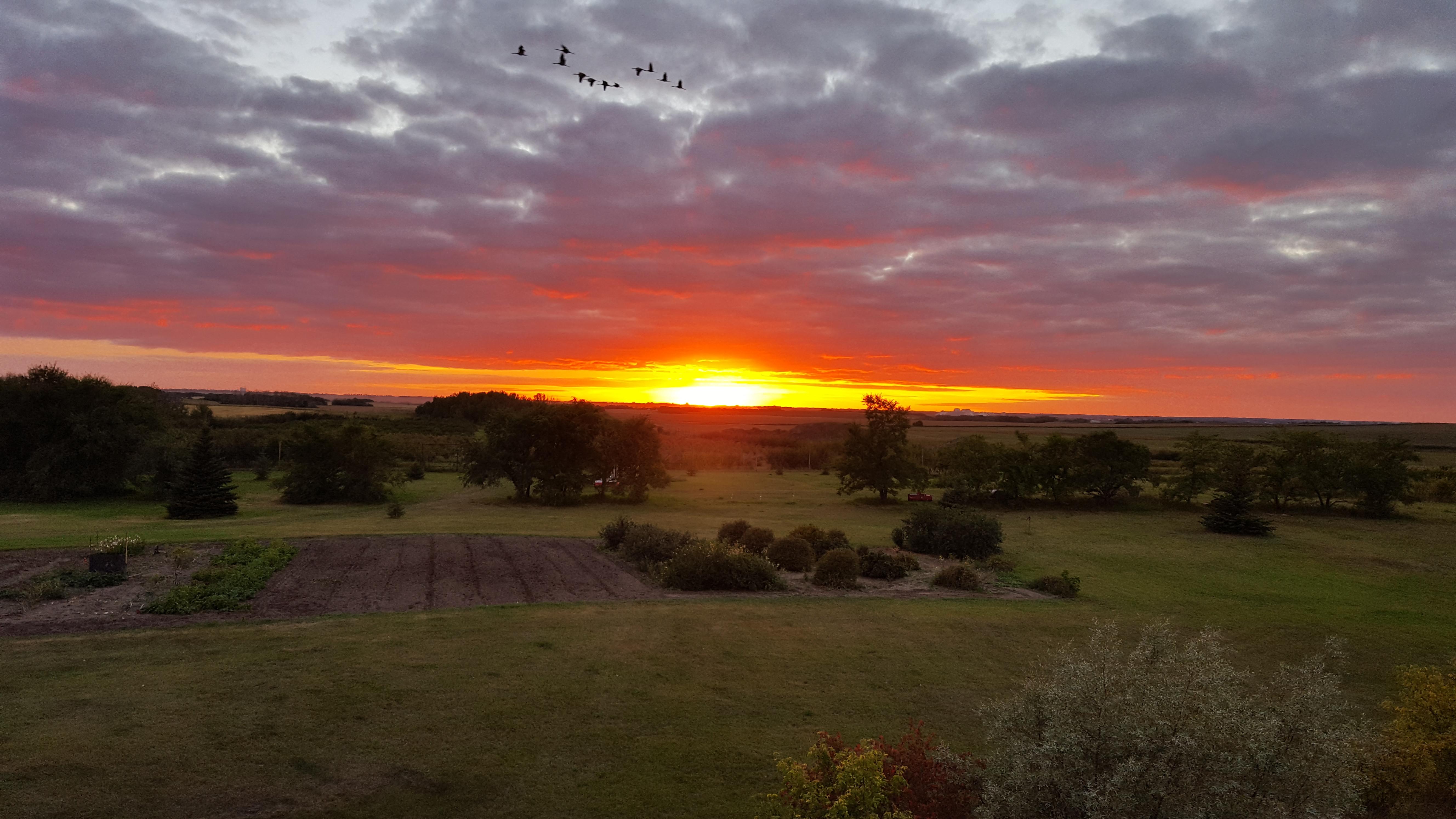 Sunset in Rural Saskatchewan, Canada near Saskatoon [5312 x 2988] [OC