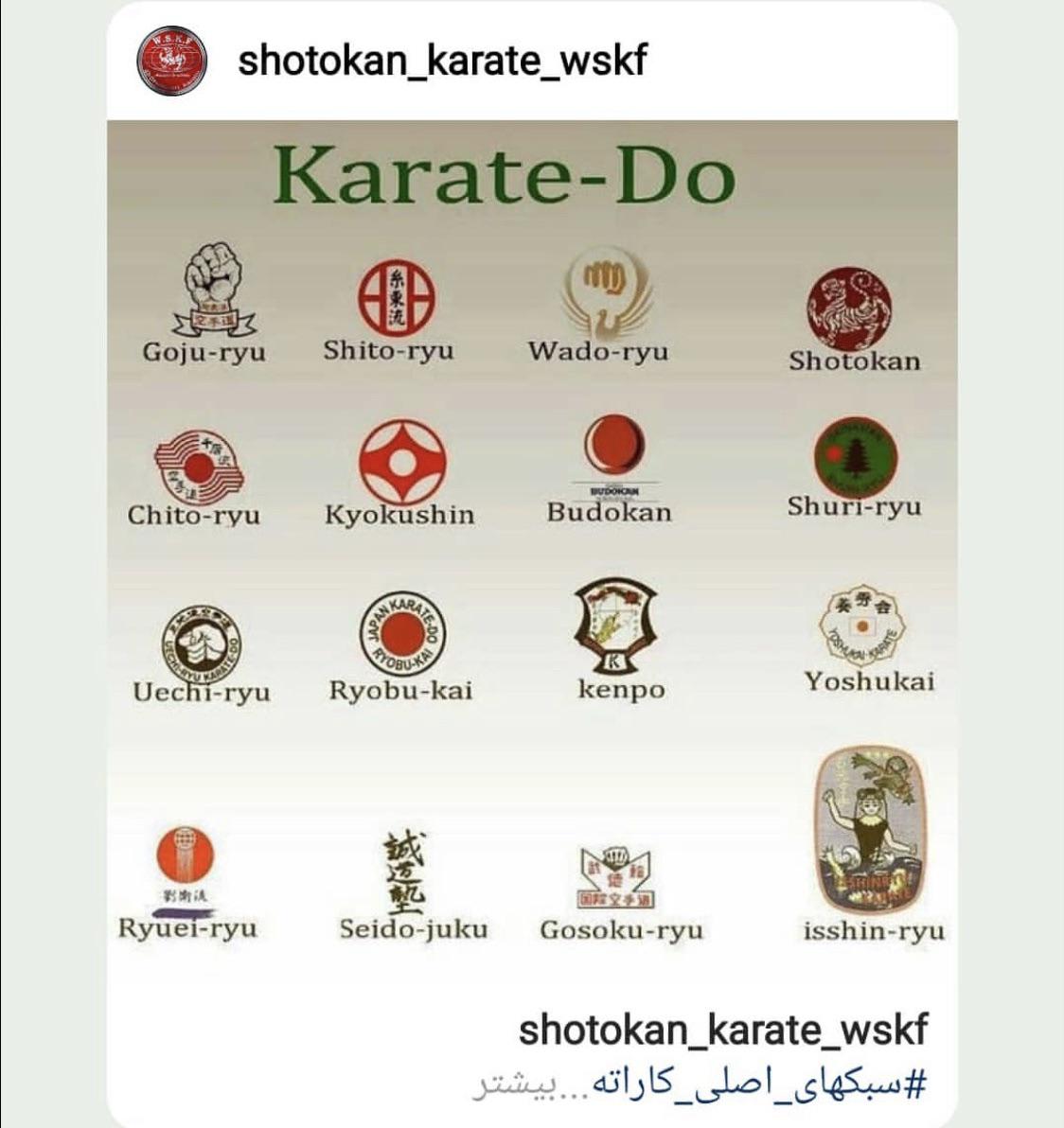 And which martial art do you prefer? r/martialarts