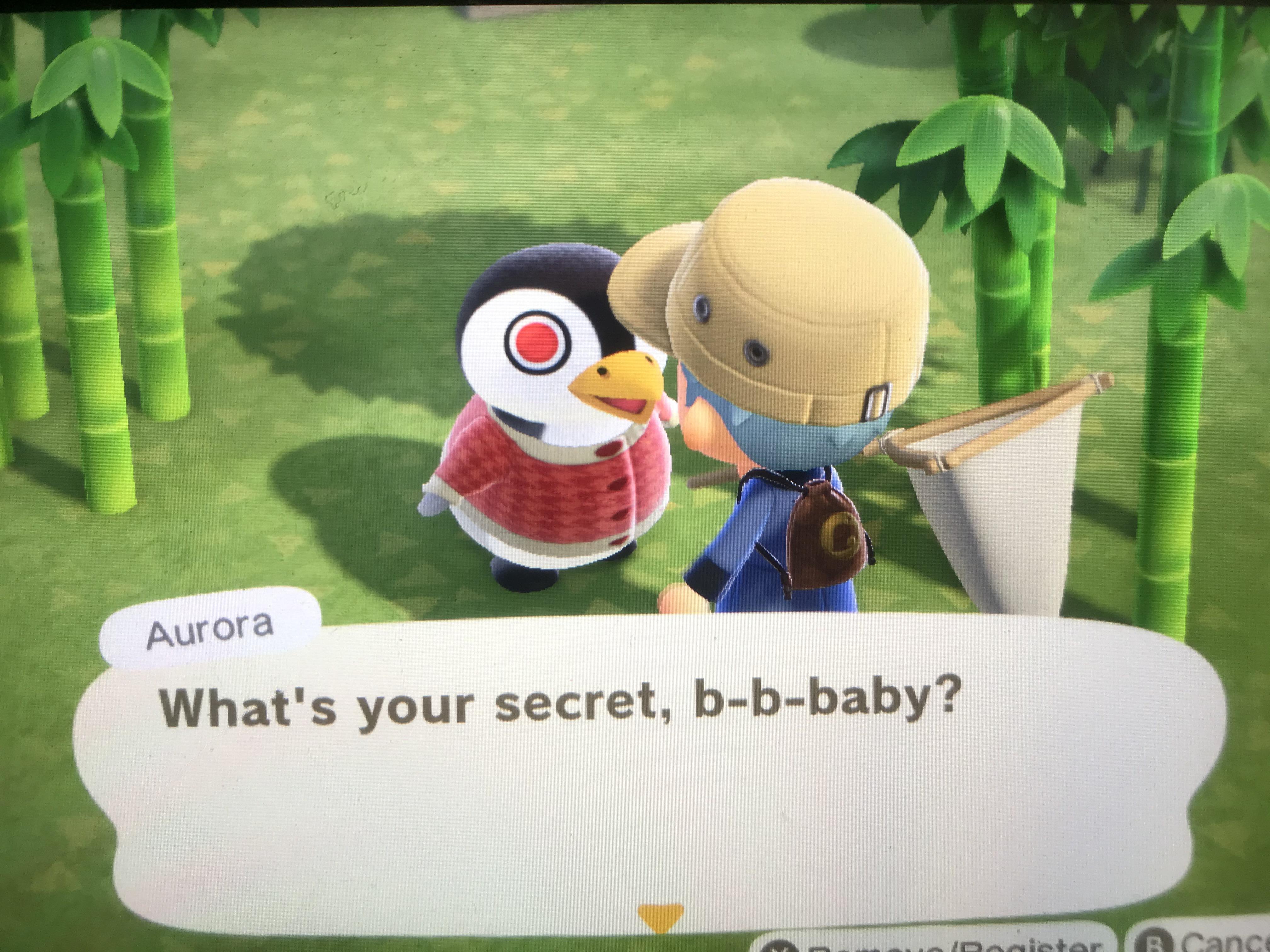 Animal Crossing New Horizons Aurora Villager Guide