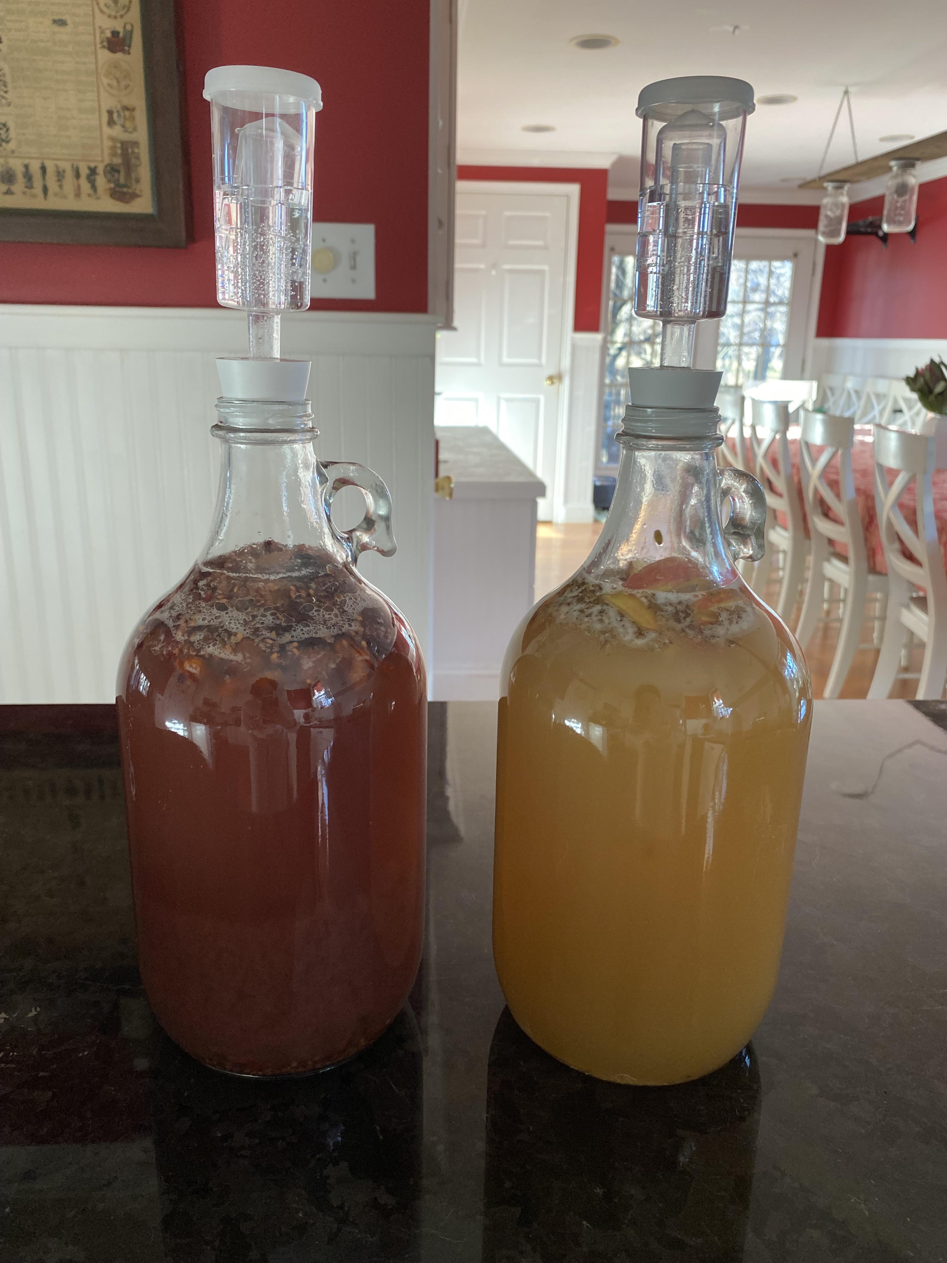 First time brew does my mead seem to be fermenting correctly? Almost