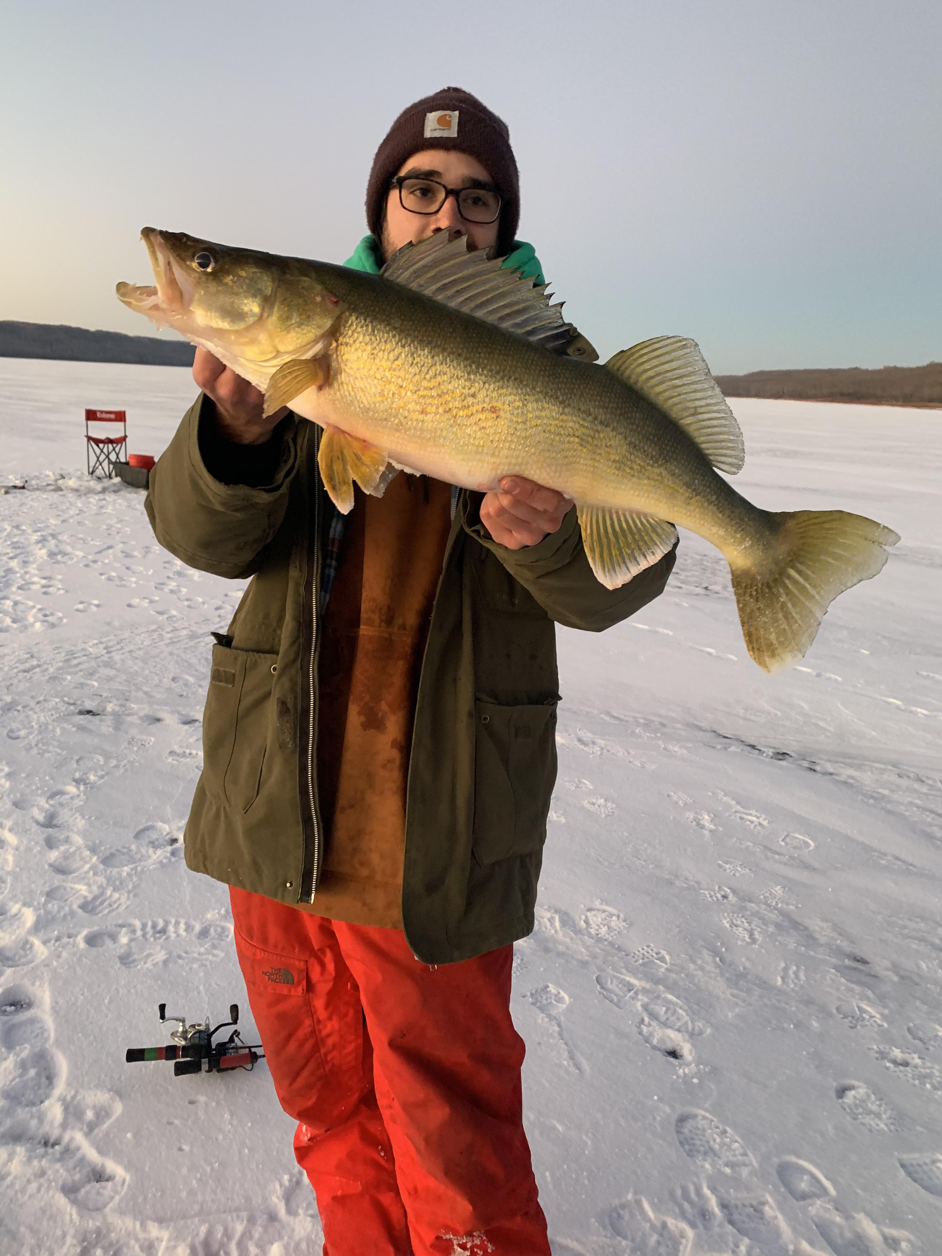 Iced a beautiful Manitoba walleye this evening r/Fishing