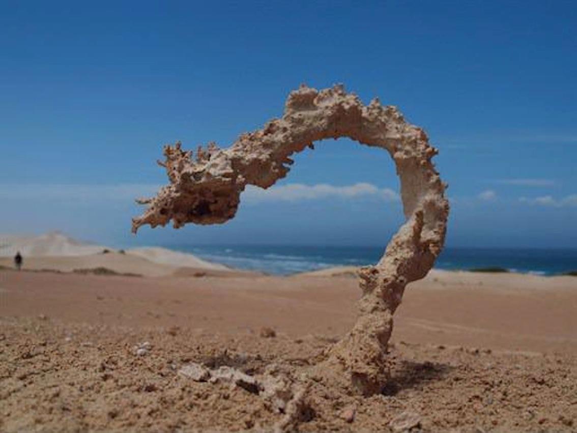 This is what sand looks like when it's been hit by lightning. Called a