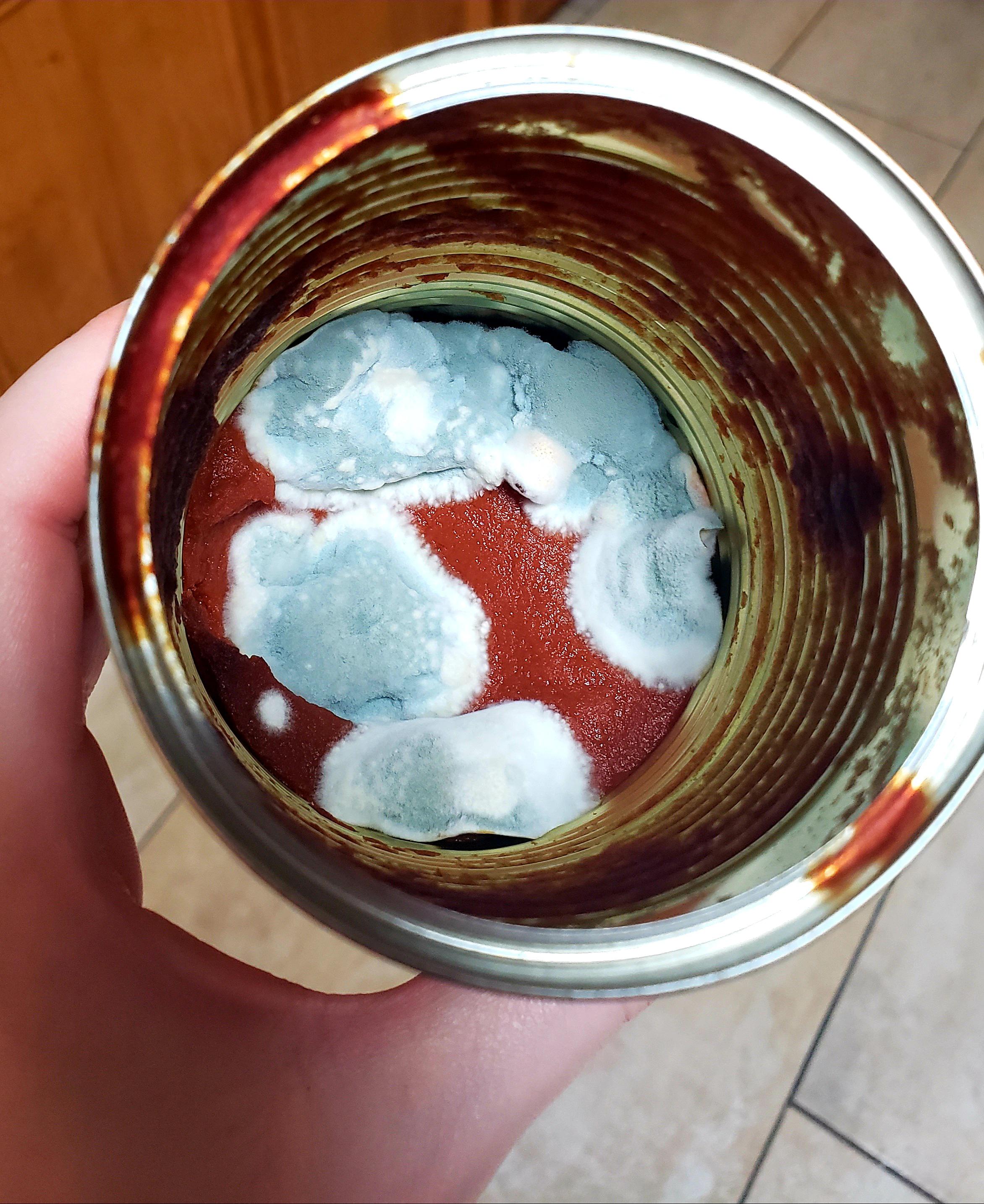 Found an old jar of tomato sauce in the back of the fridge r