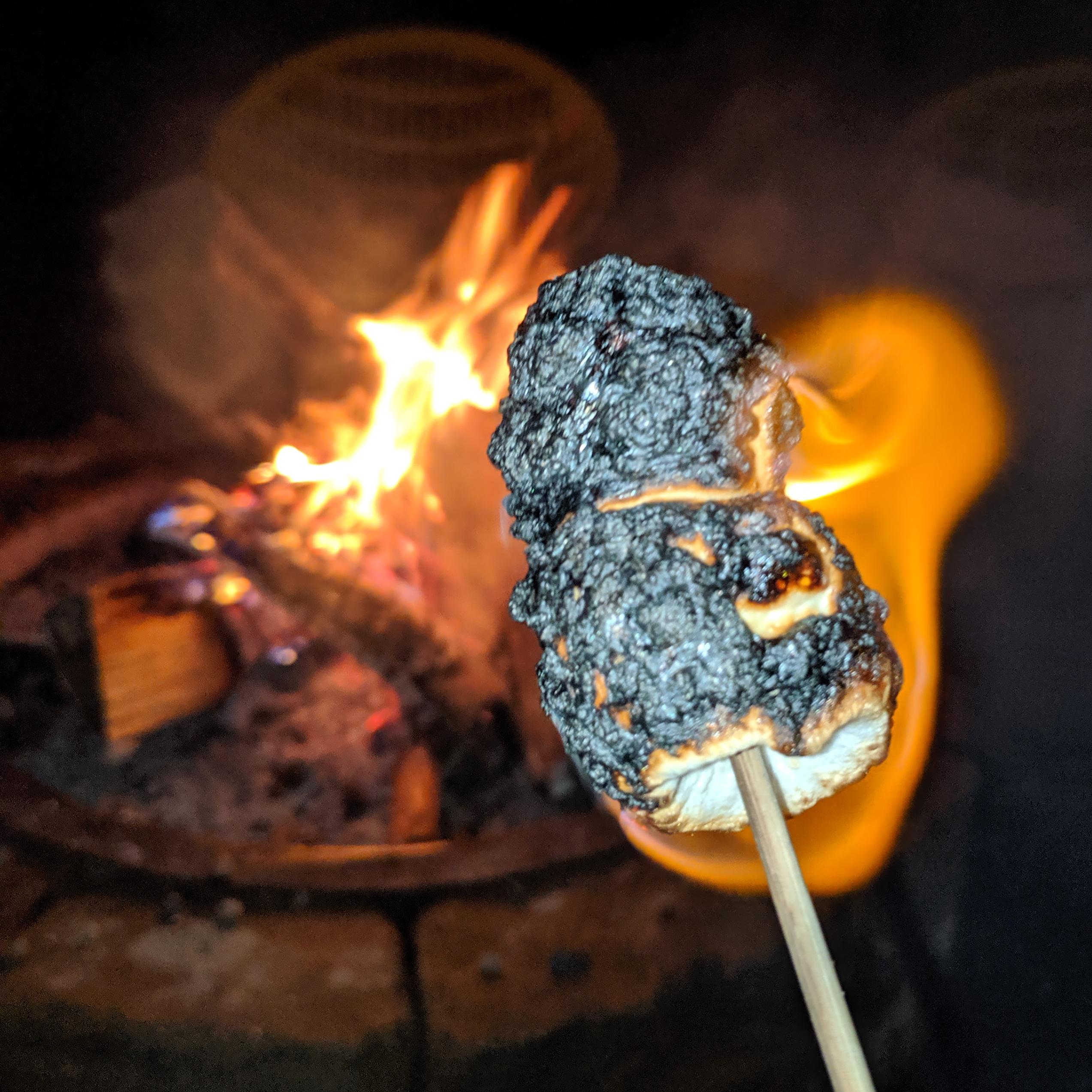 The only proper way to eating marshmellows... BURNT r/pics
