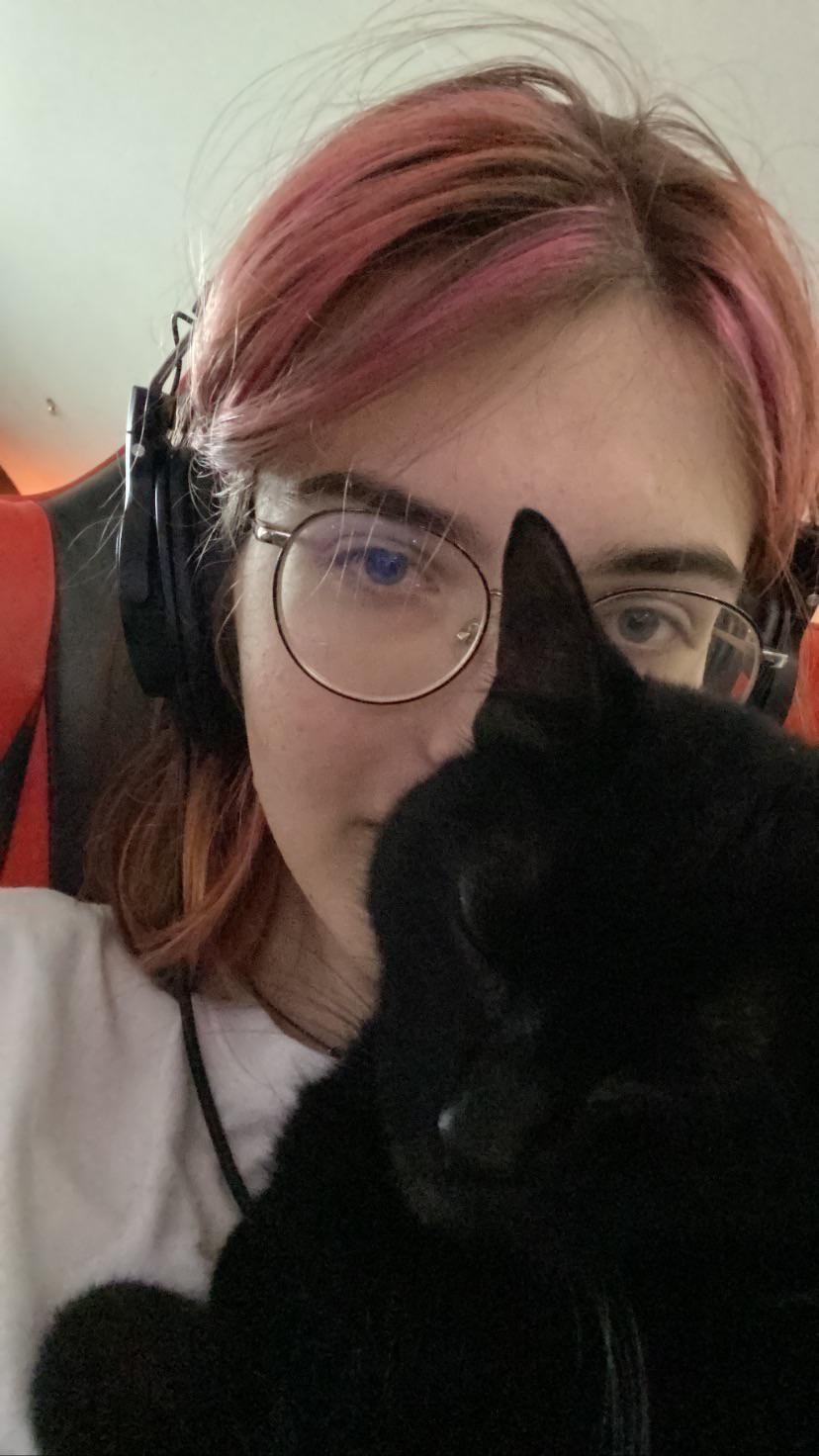 my cat insists on sitting right here all of the time r/cats