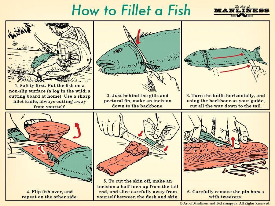 A visual guide on how to fillet a fish r/coolguides