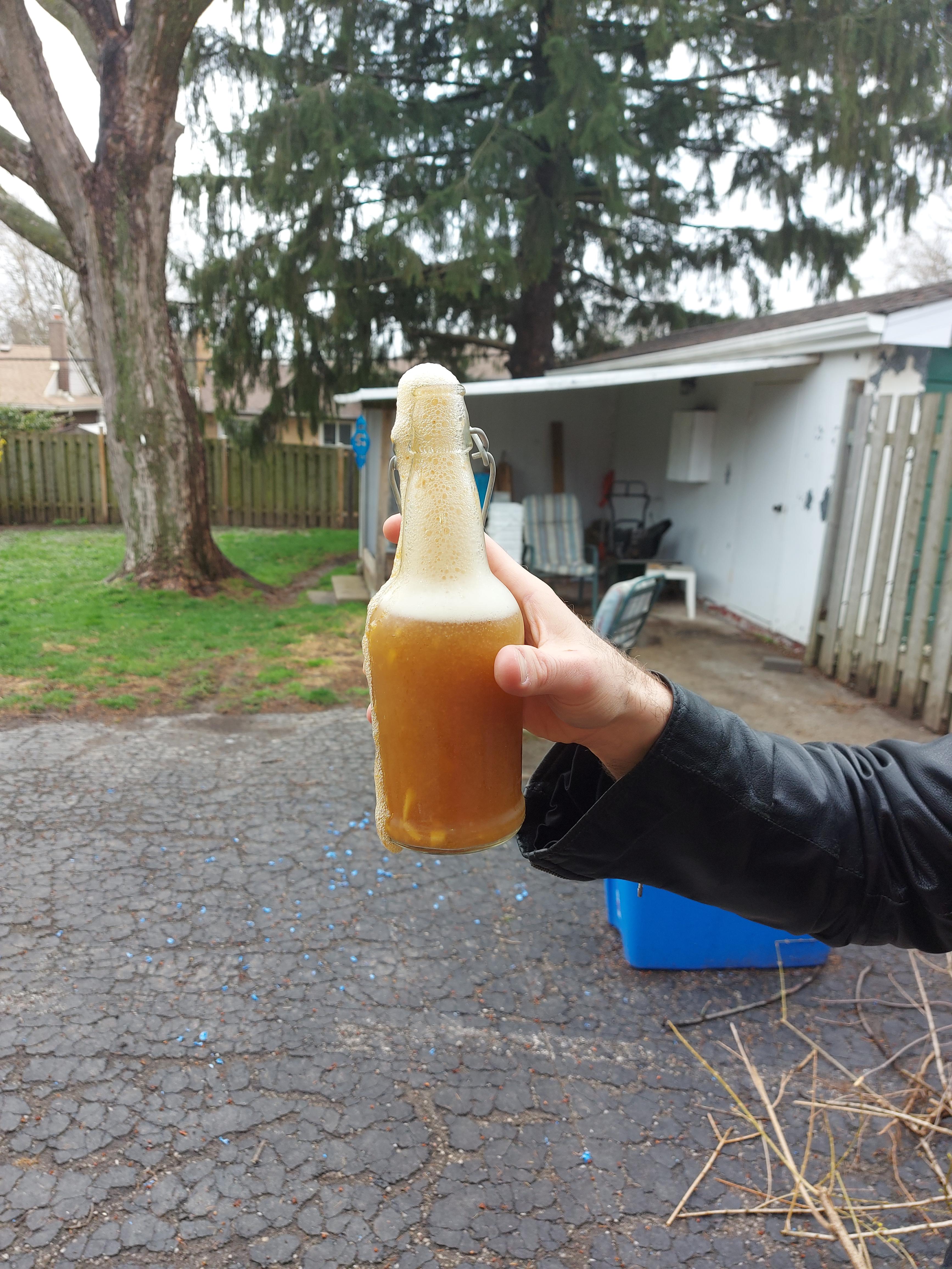 Pineapple Ginger Kombucha. r/Kombucha