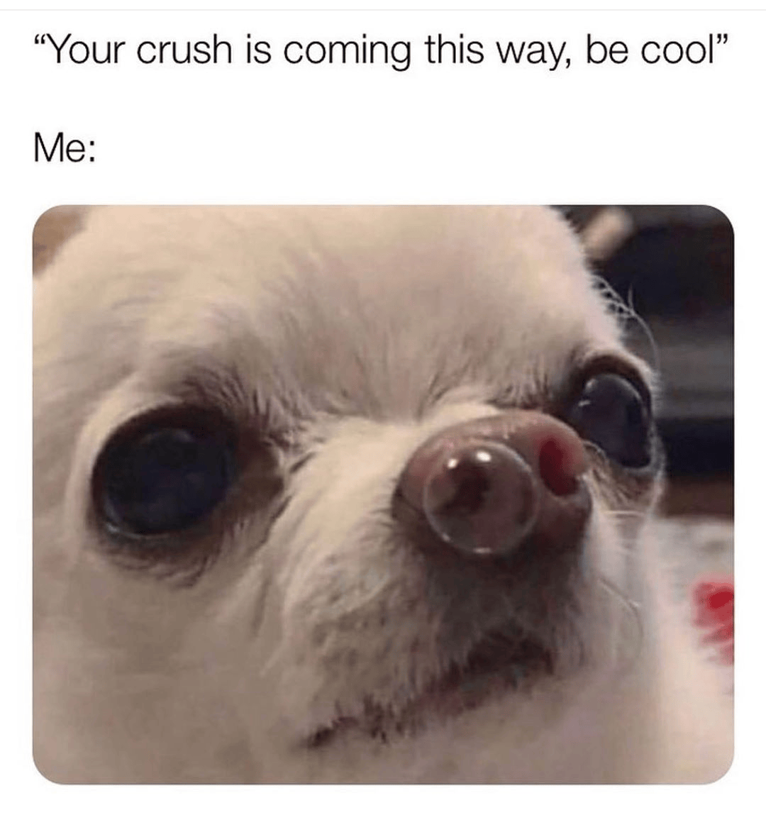 Be cool, stay cool memes