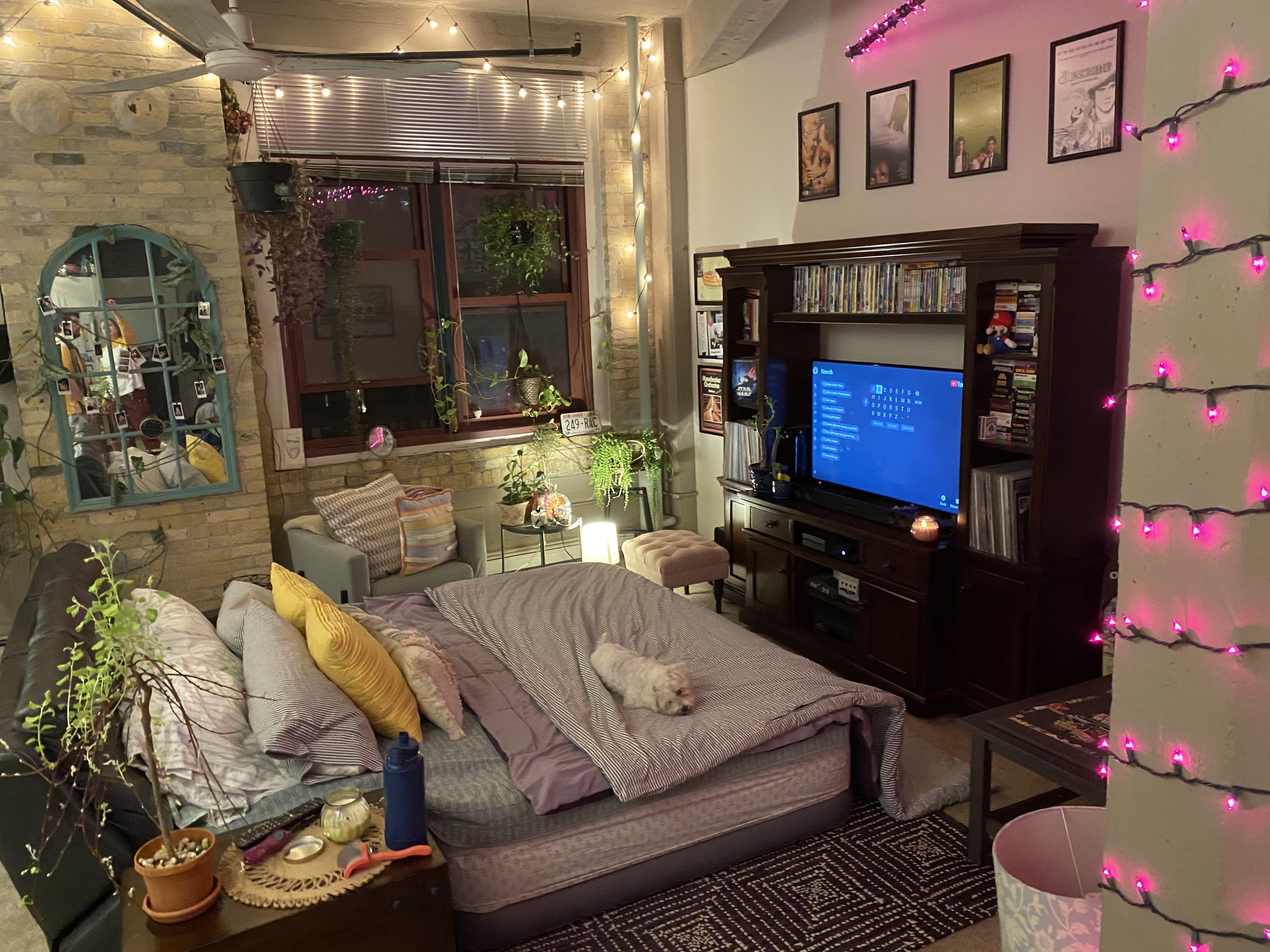 Joining the “air mattress in the living room” trend r/CozyPlaces