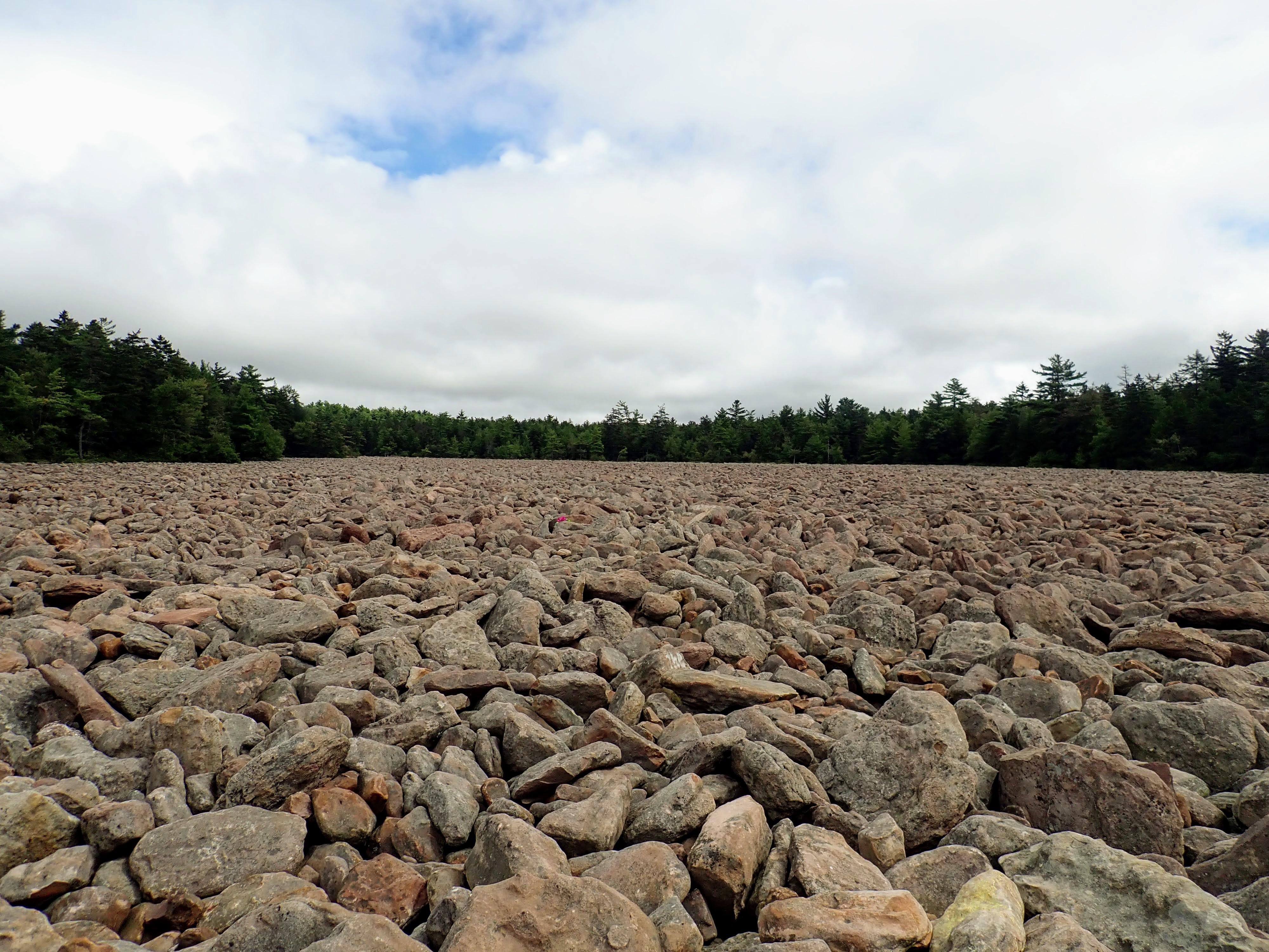 Boulder Field Hickory Run State Park Lake Harmony, PA r/Pennsylvania