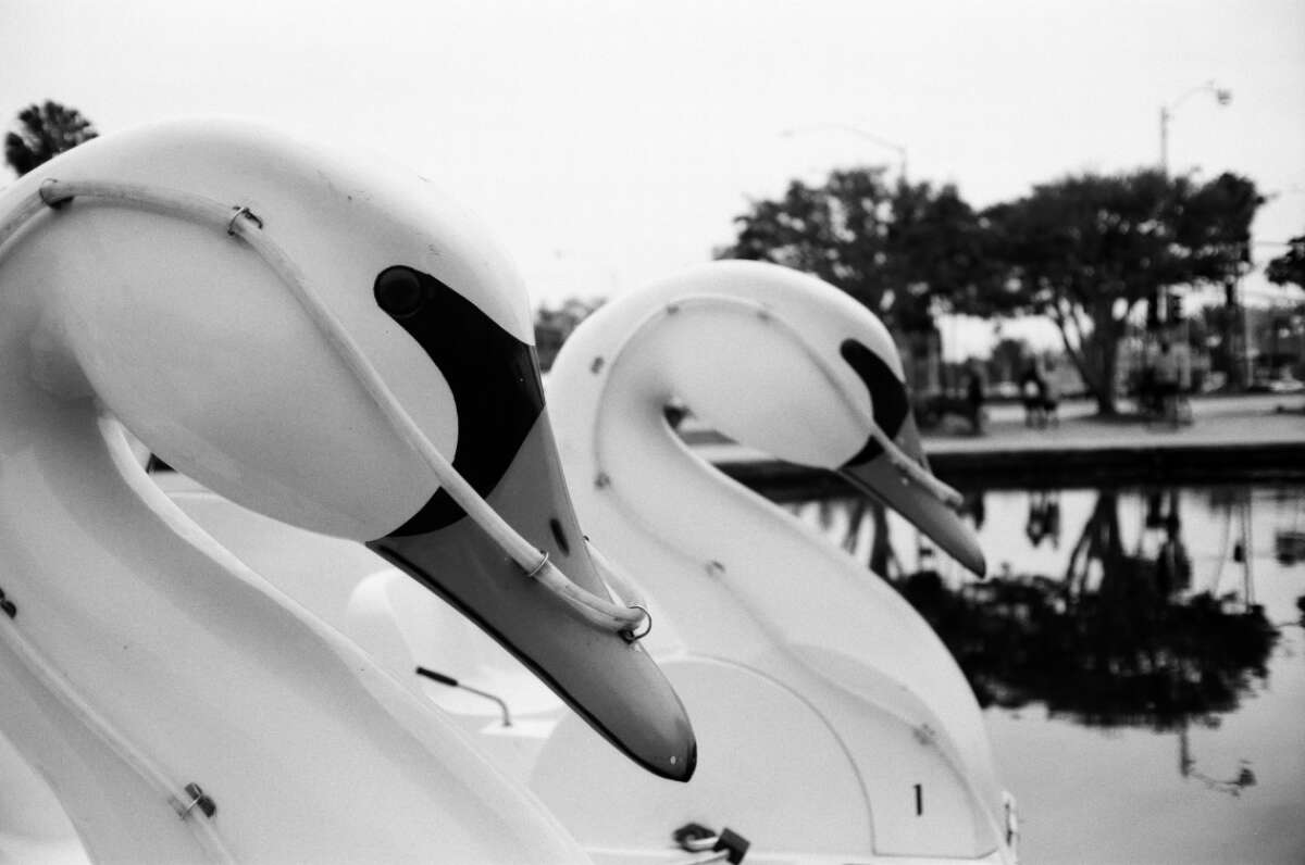 rainbow lagoon Reddit post and comment search SocialGrep