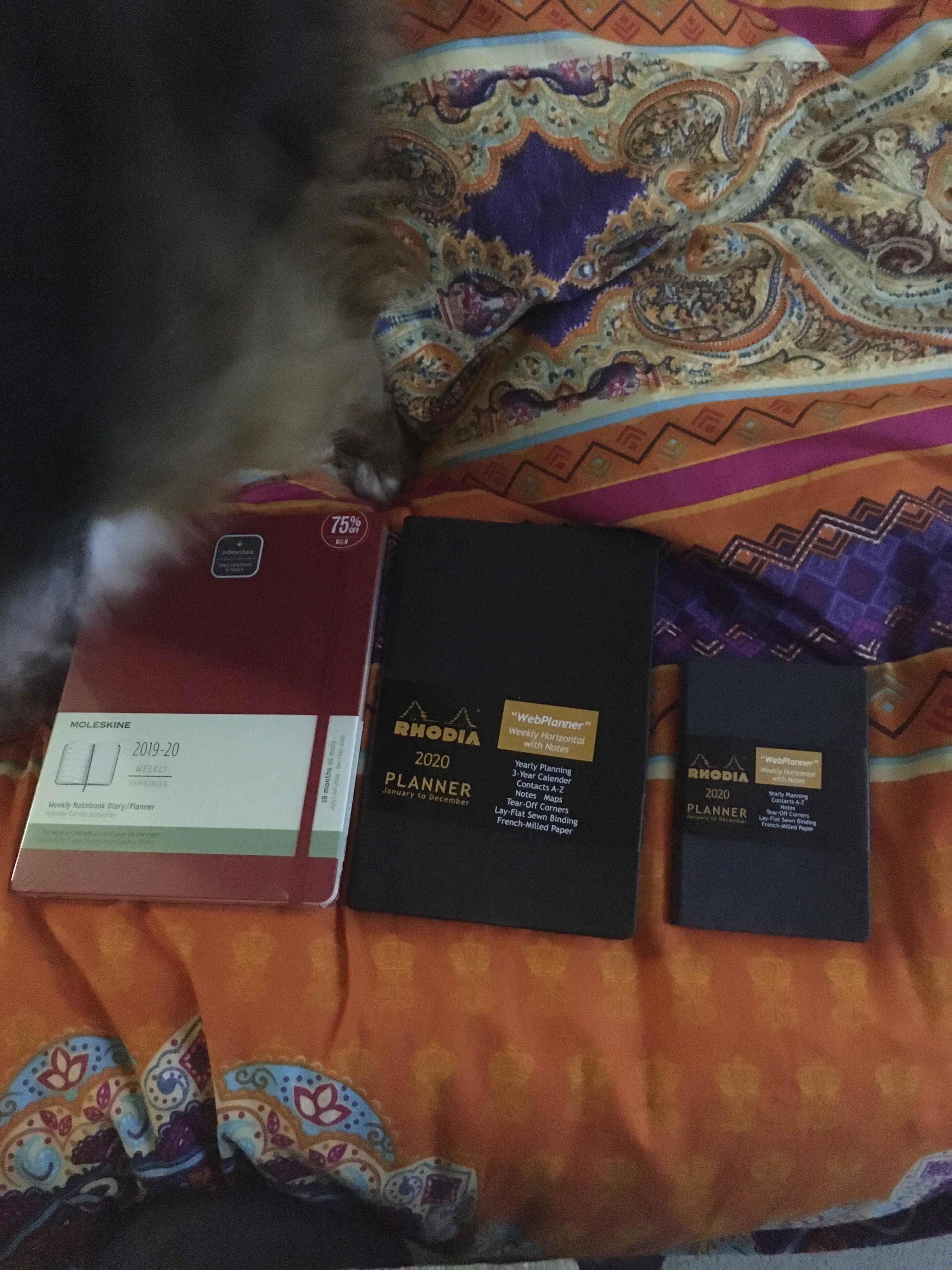 All 20192020 & 2020 Planners 2.00 at Barnes & Noble r/pens