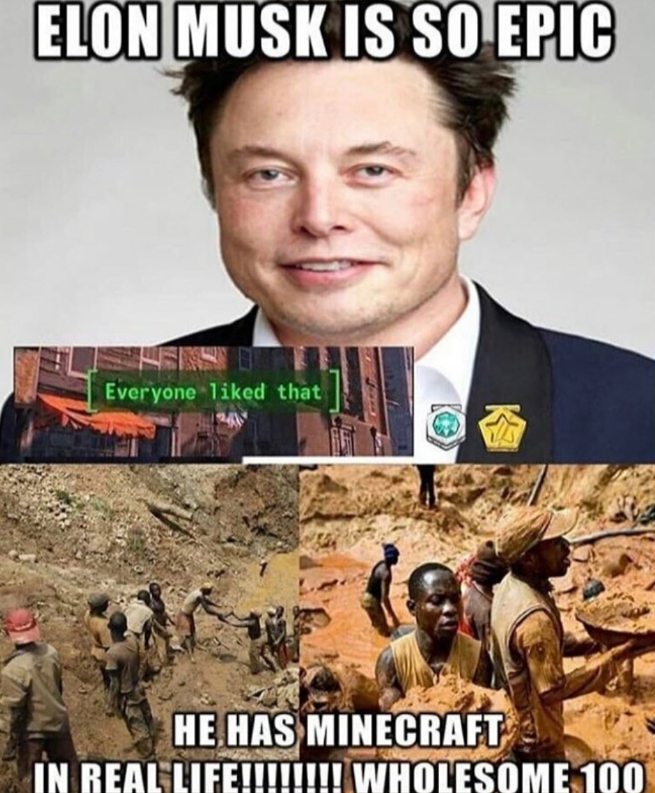 Elon musk wholesome 100 everyone liked that redditmoment