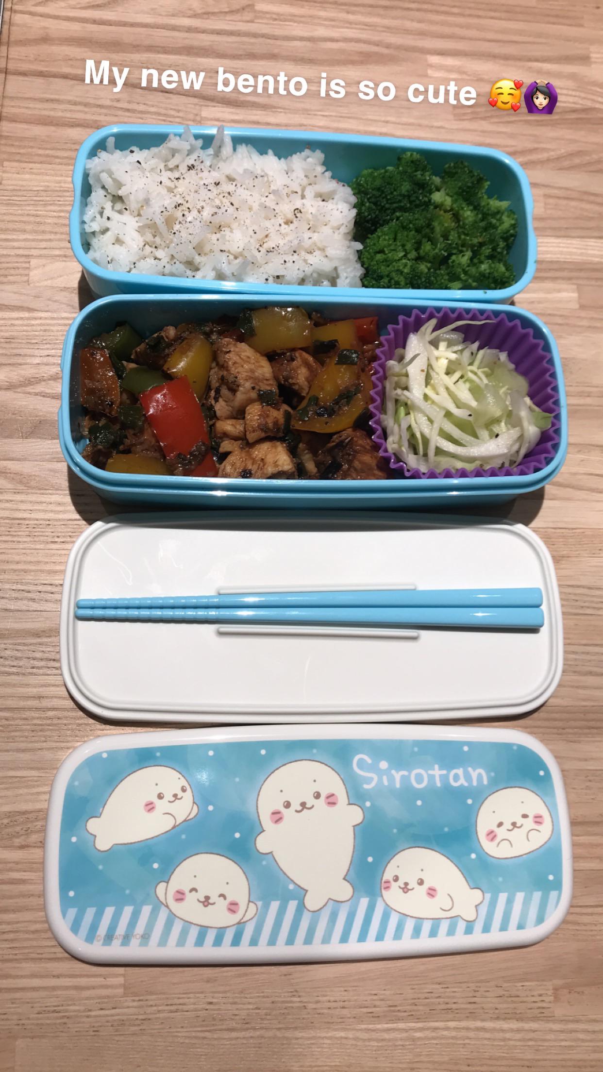 New bento box for tomorrow’s lunch! r/Bento