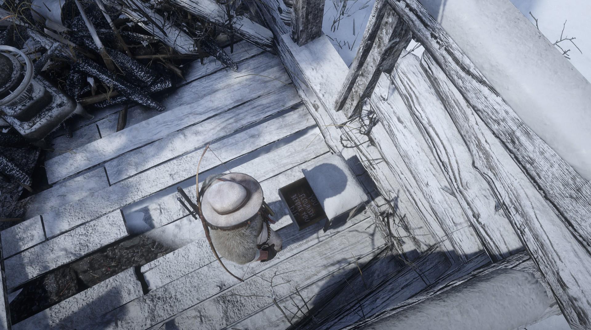 C'est quoi ça ? r/RDRD2_france_english