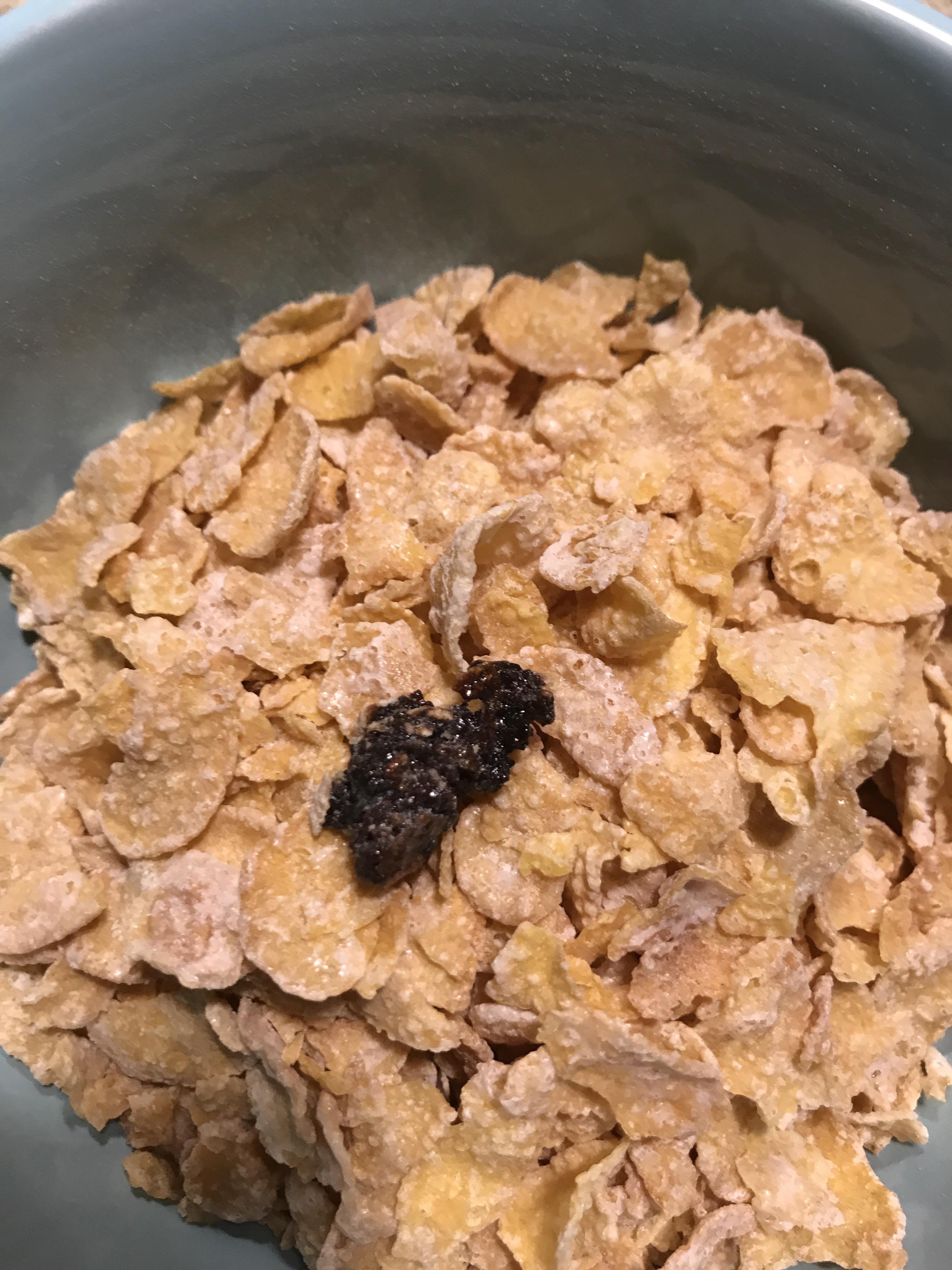 This just fell out of my freshly opened Frosted Flakes, I’m still