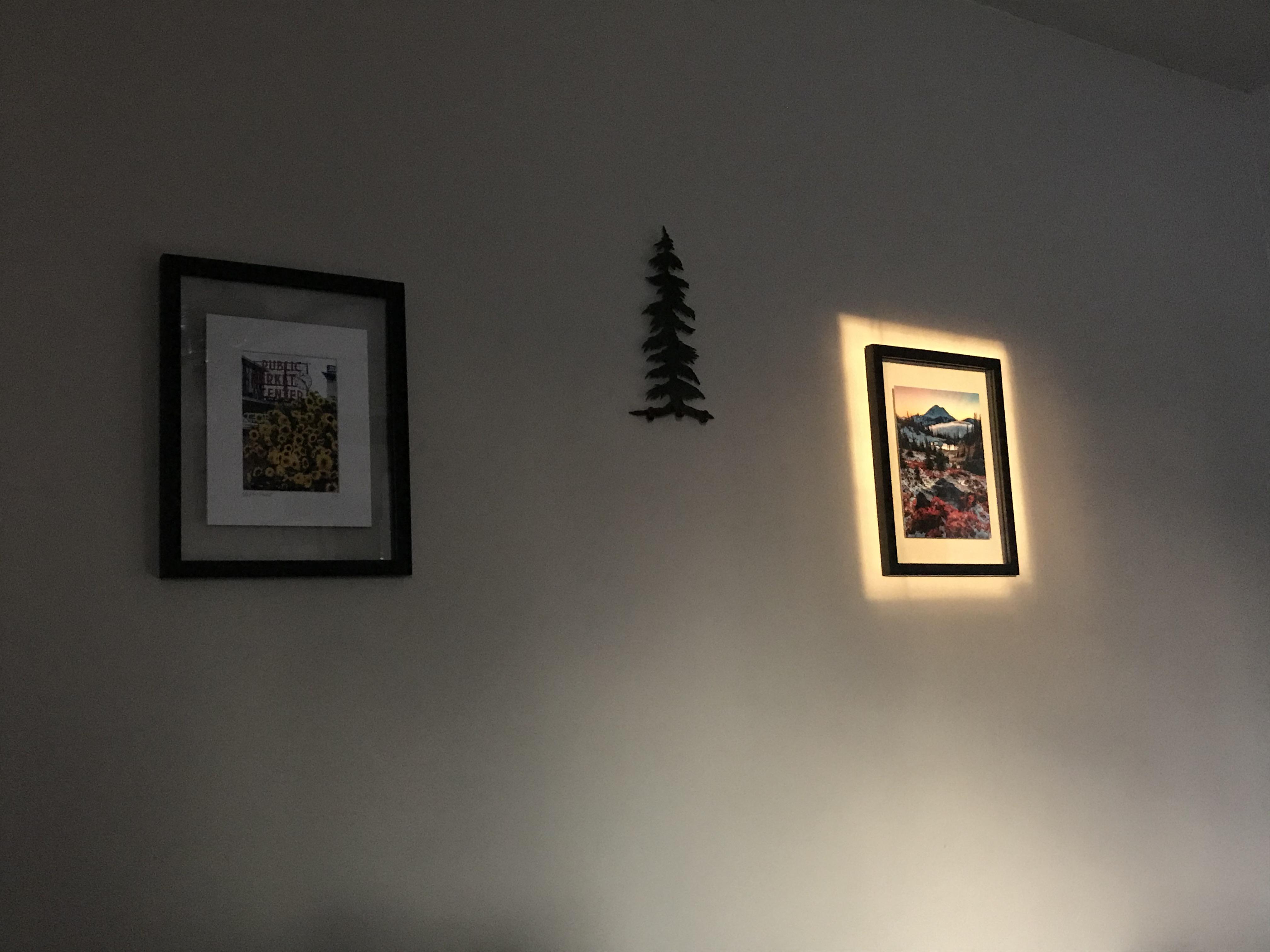 The way the light from a window perfectly frames that picture r