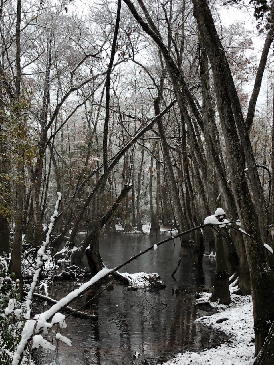 When snow meets Louisiana swamp. [960x1280] Photo by Matt Shaw r