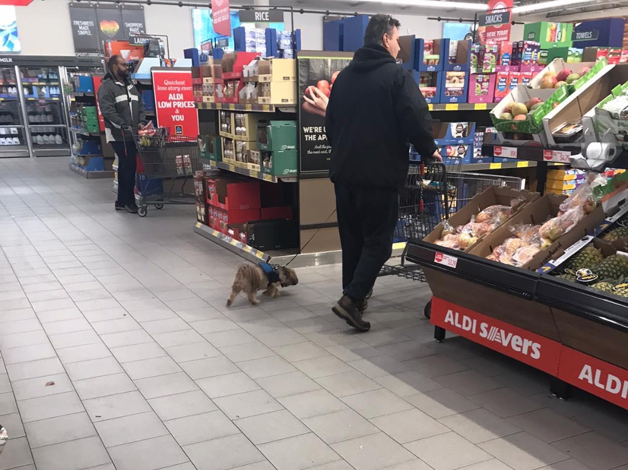 Action alert! Just found out Aldi is “Dog Friendly” r/Dogfree