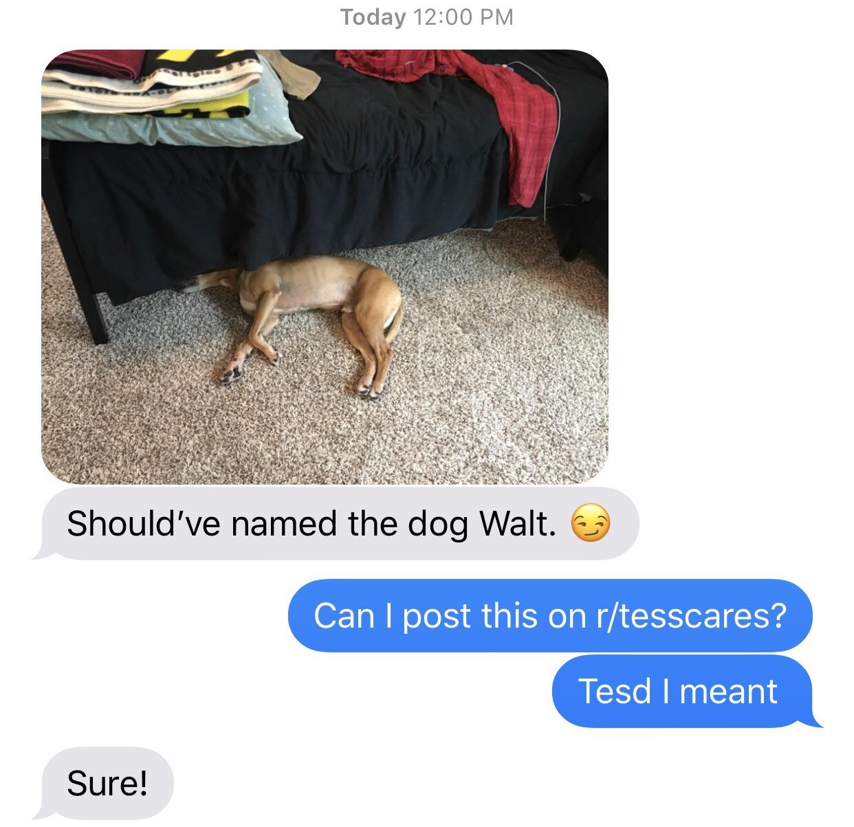 Reddit Dive into anything