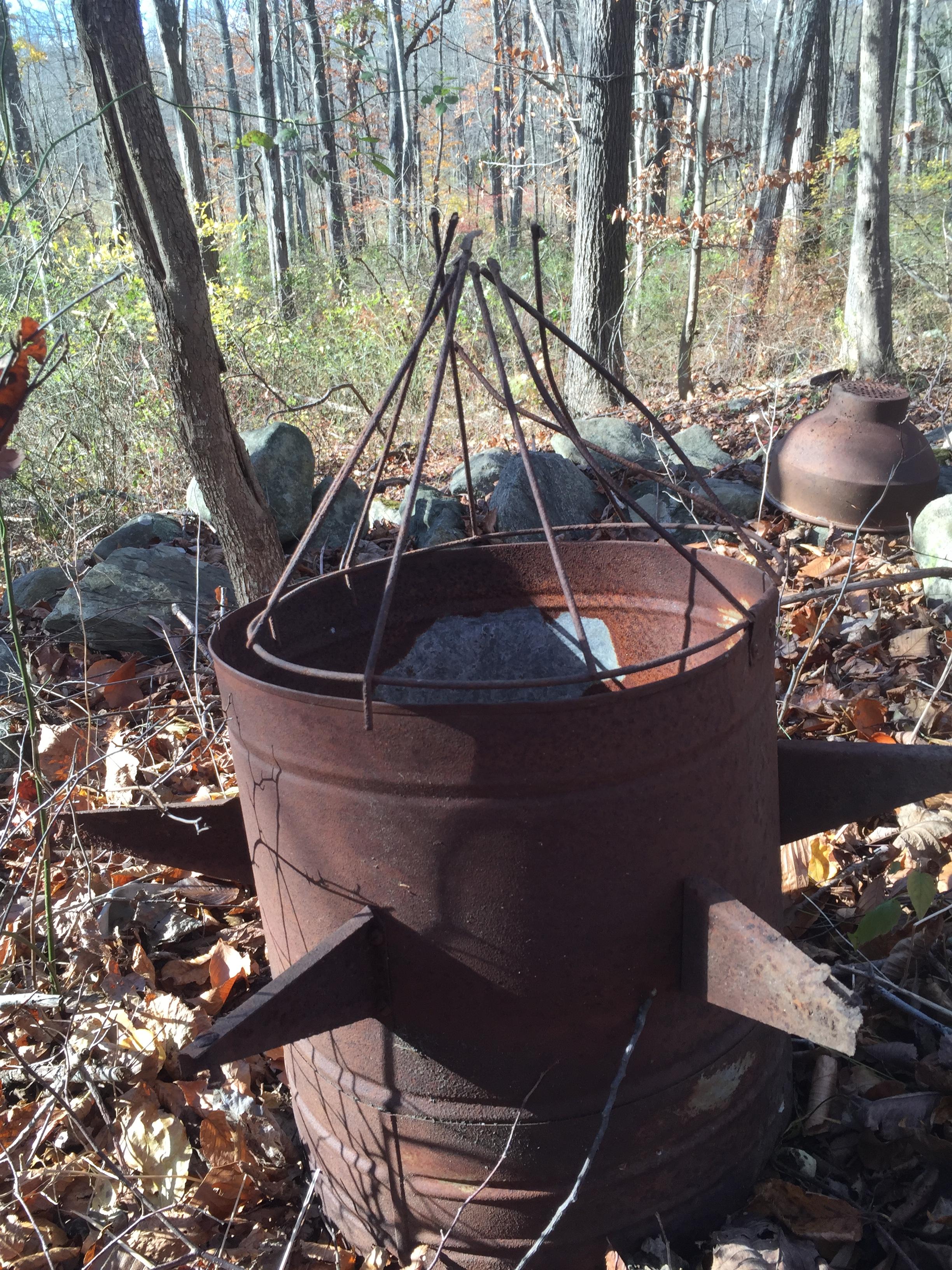 Found this in woods with about 5 more. About 3" tall. The area was used