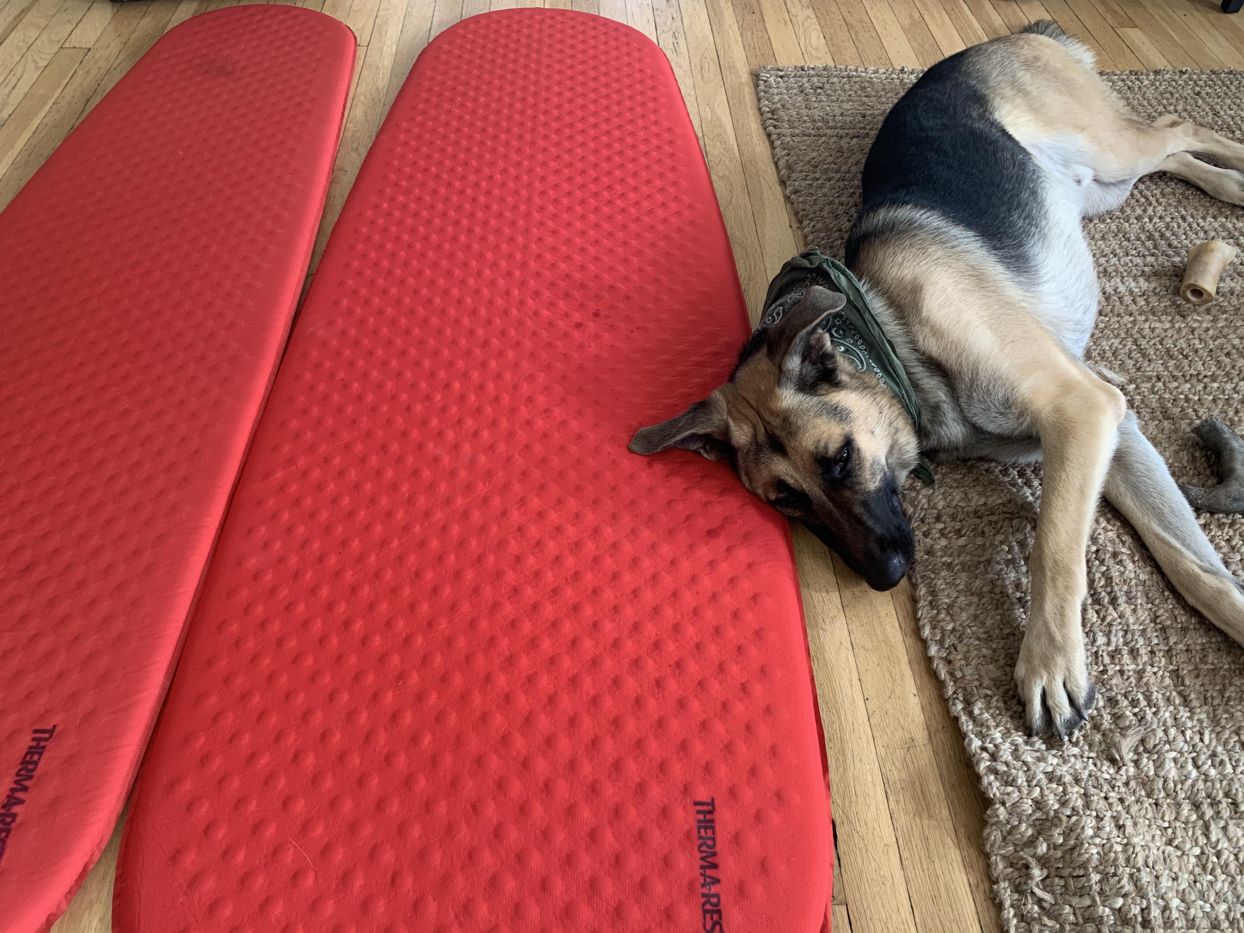 Looks like we will be enjoying our new Thermarest Prolite Plus sleeping