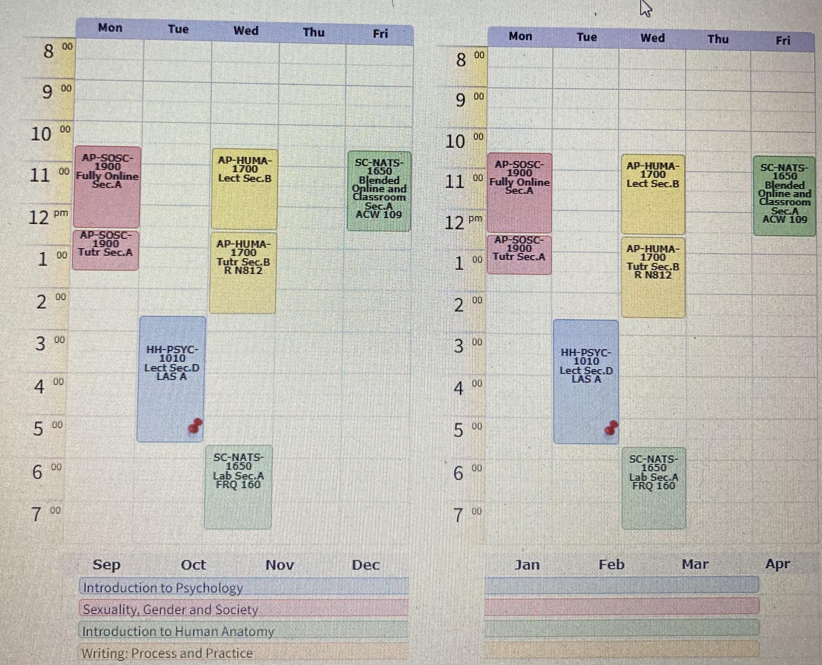 visual schedule builder r/yorku