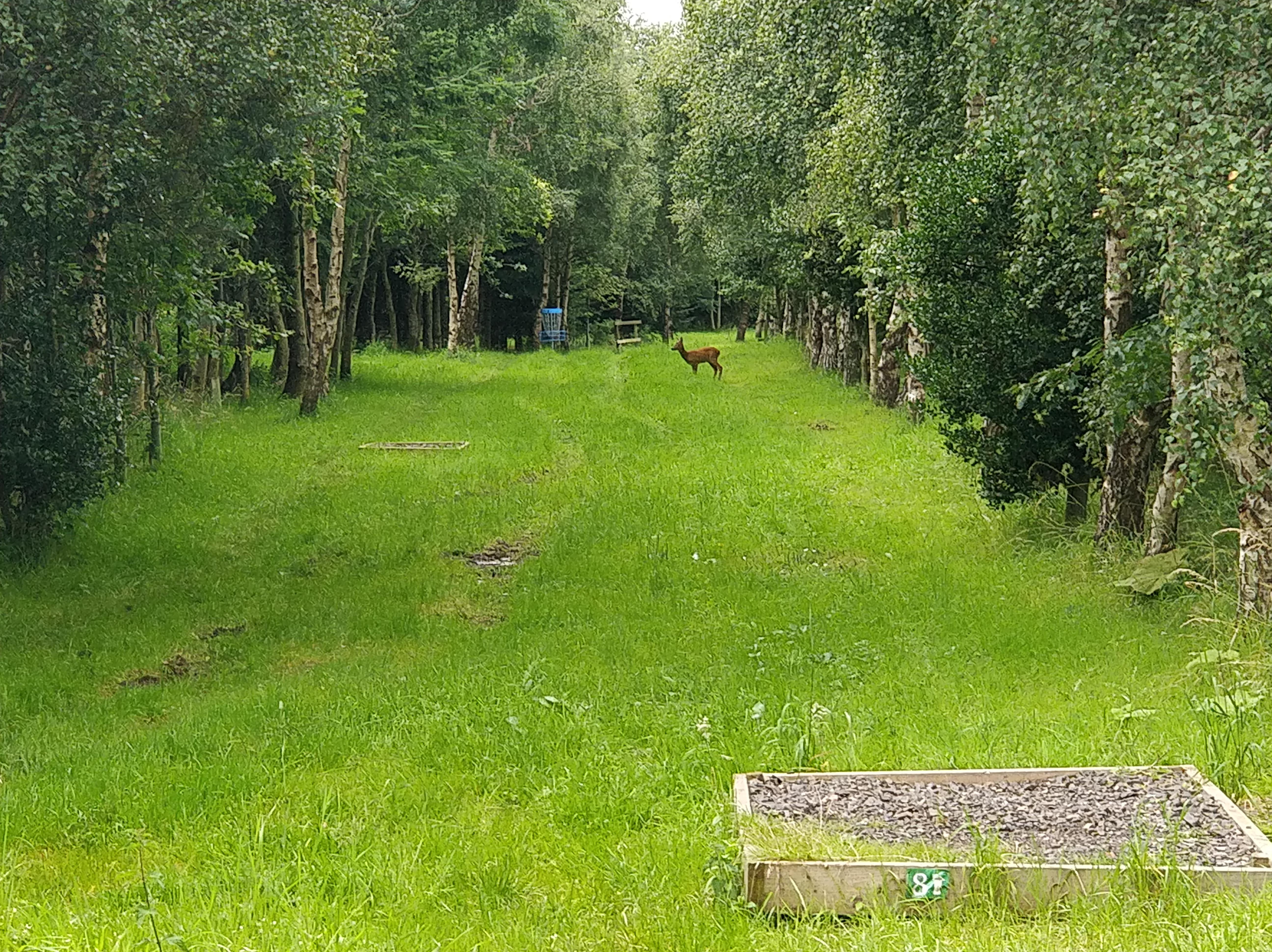 Scottish playing partners are a little different! Crooked Pines