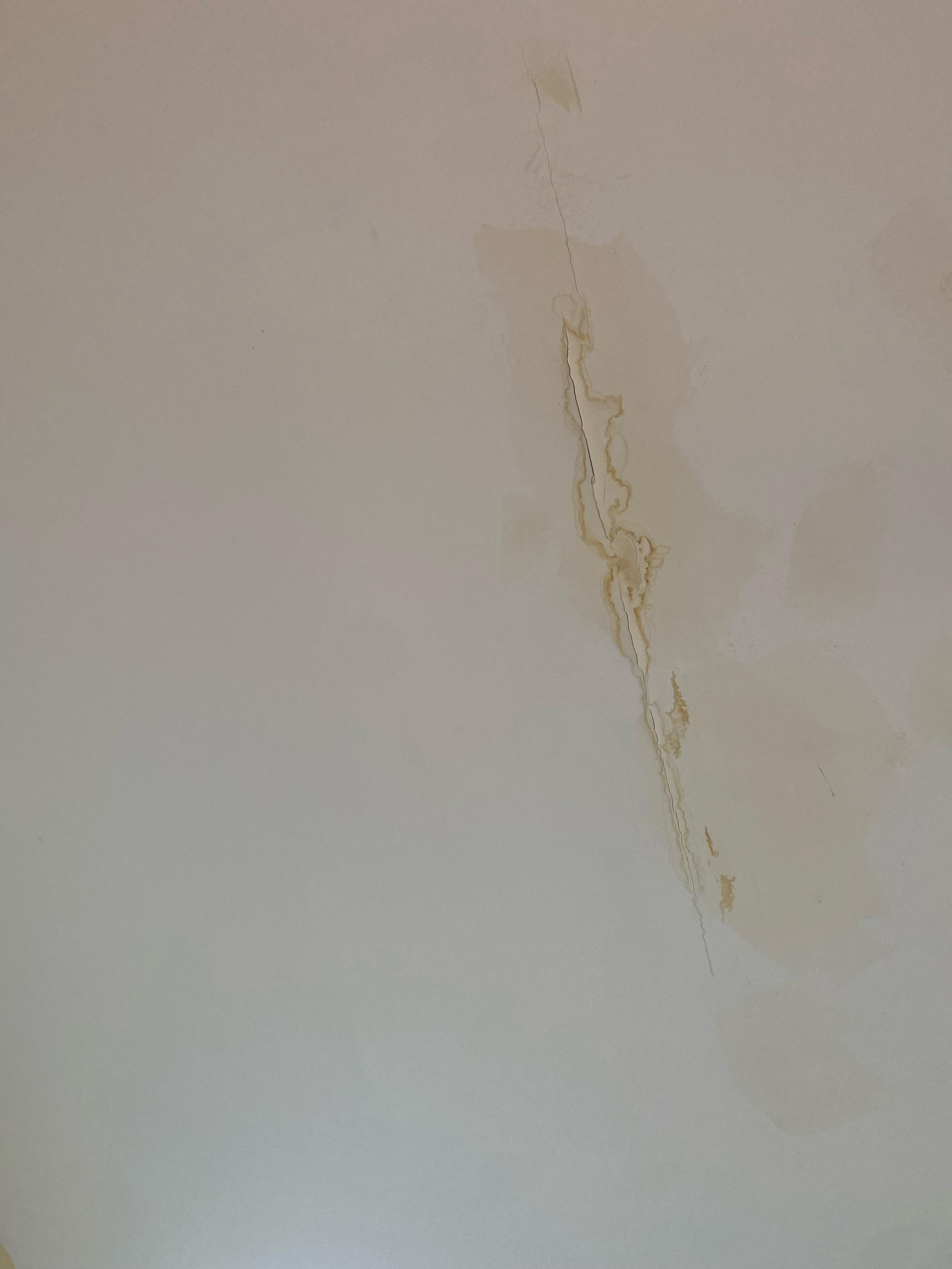 Is this mold or water damage? Both? This is downstairs ceiling from the