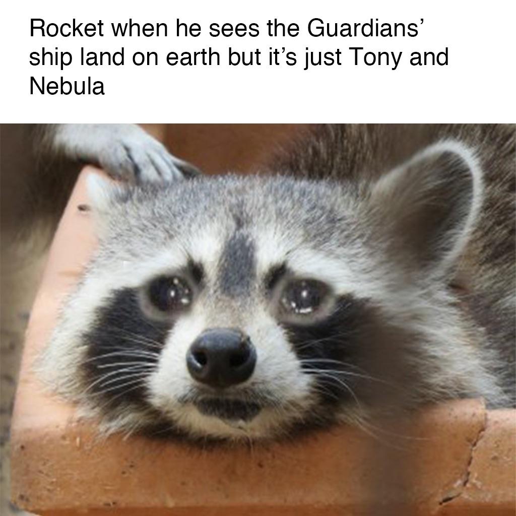 Sad Rocket Raccoon Meme Instagram photo by Blerd Vision • Apr 27