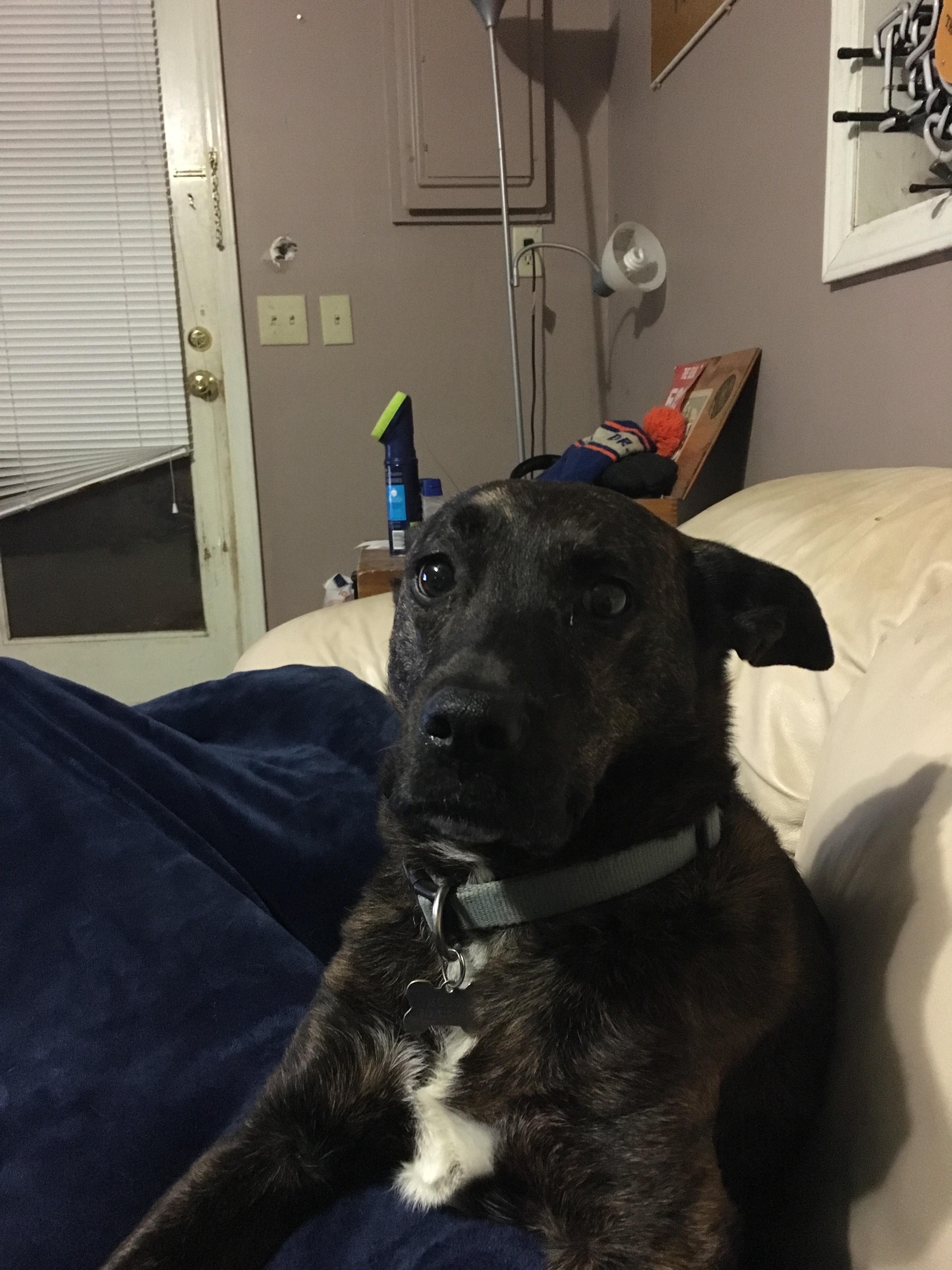 Sometimes, he looks at me like I’m the roommate who doesn’t clean up