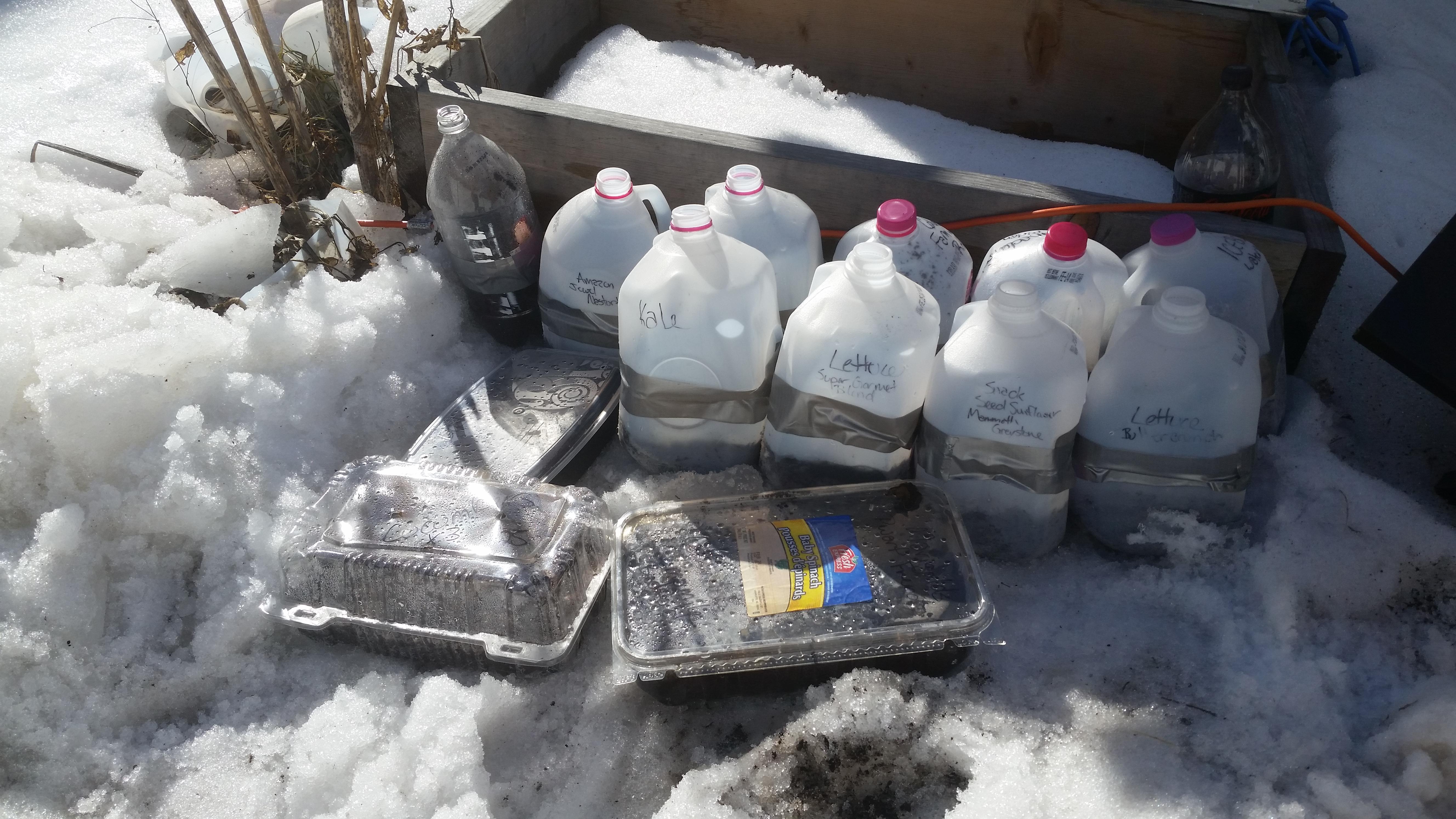 Wintersowing in zone 4b r/gardening