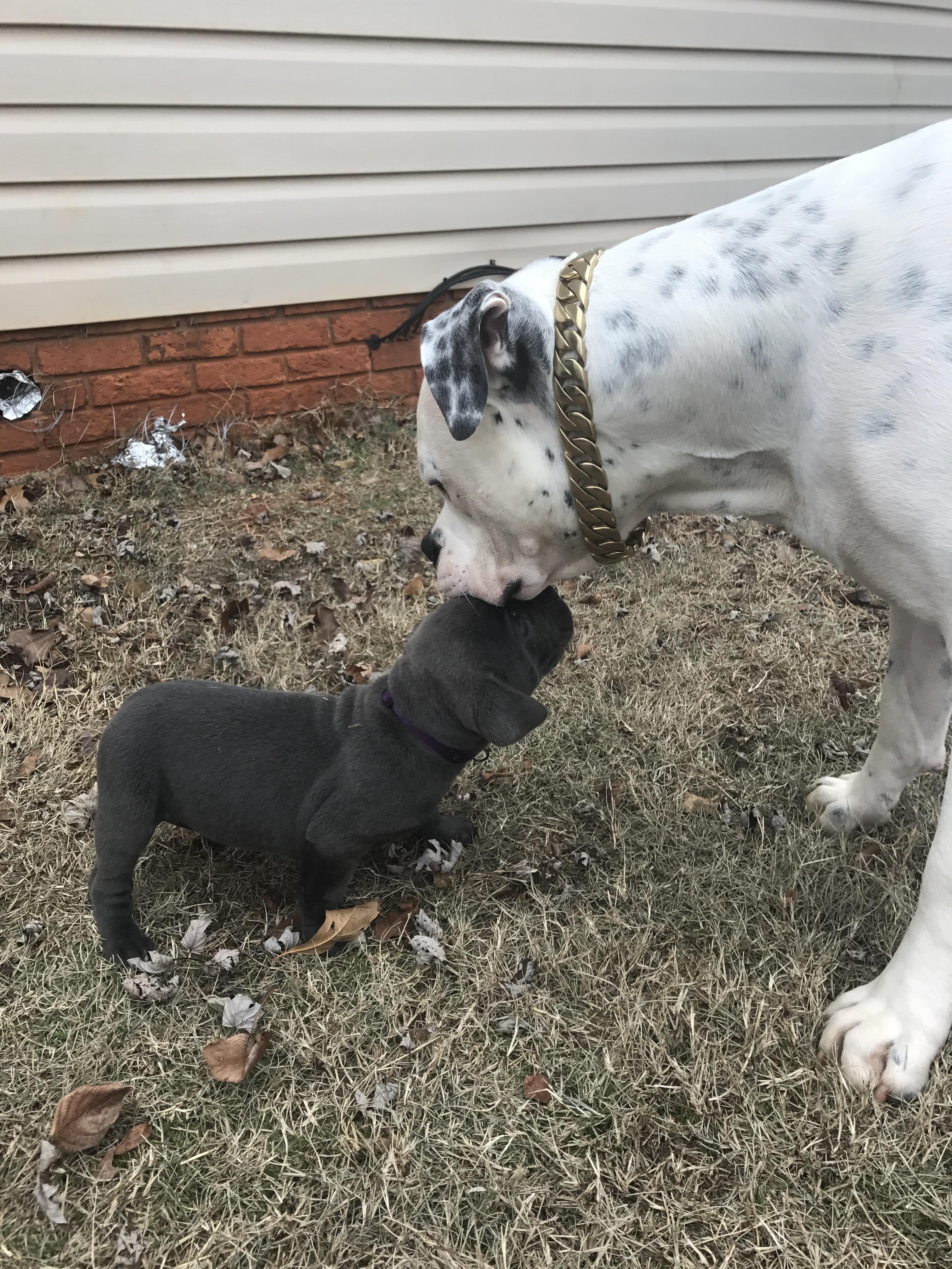 Since their last picture was so popular this is the first time they met