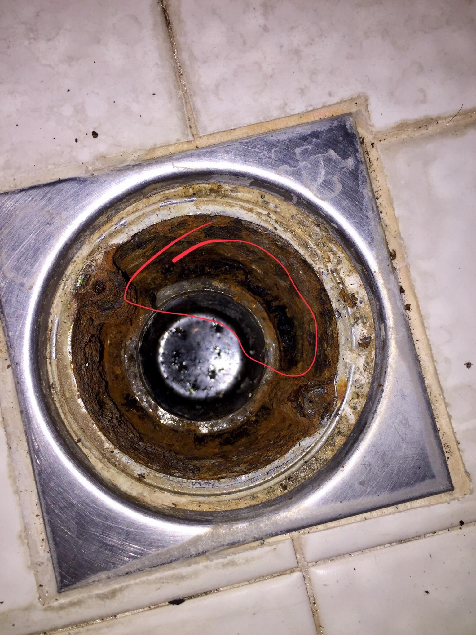 Please help. Seems like shower drain or floor is leaking, water