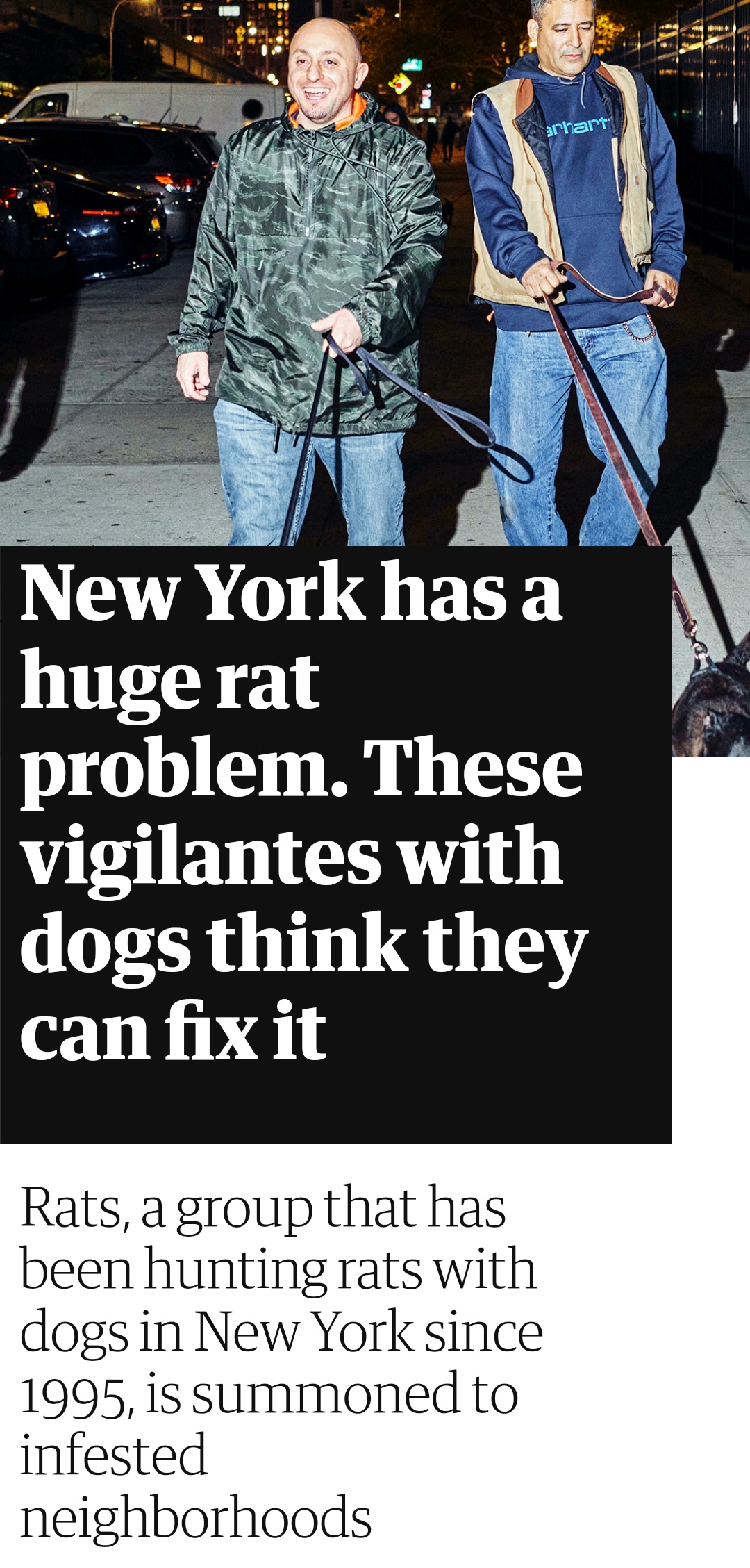 Terriers saving NYC from rats r/dogswithjobs