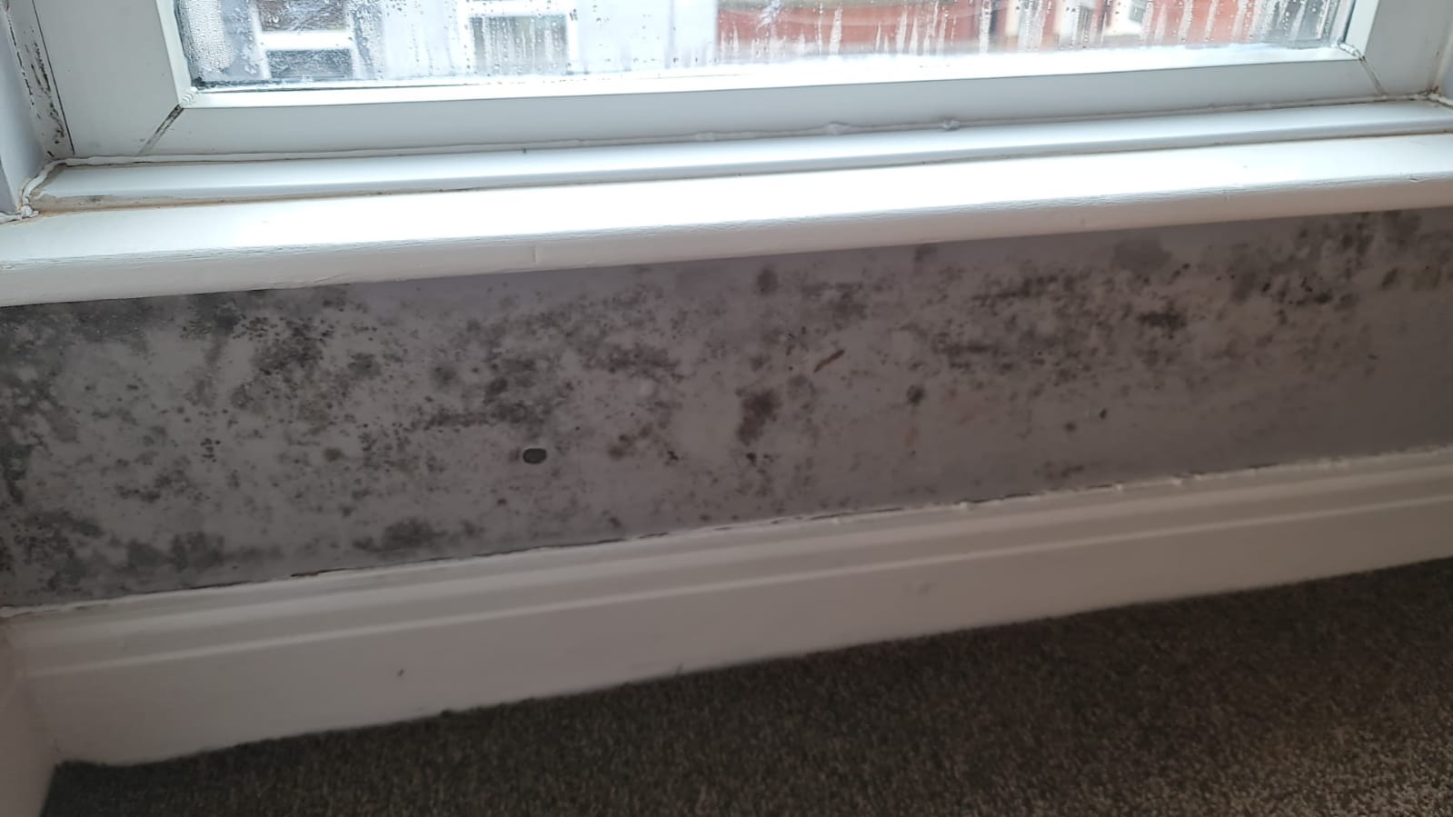 Mould and damp around 1st floor bedroom window. What to do or who to