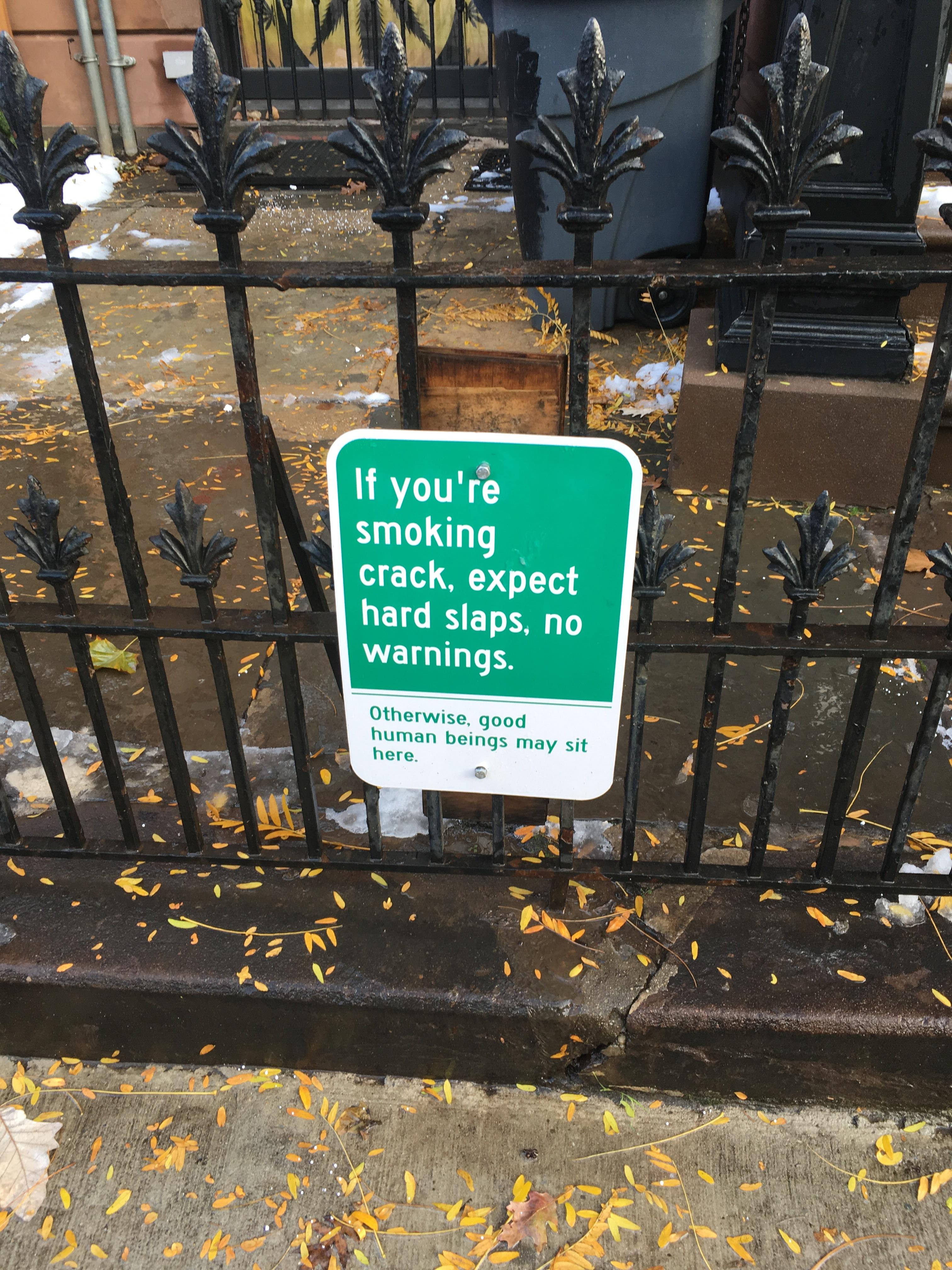 Spotted in Bed Stuy r/Brooklyn