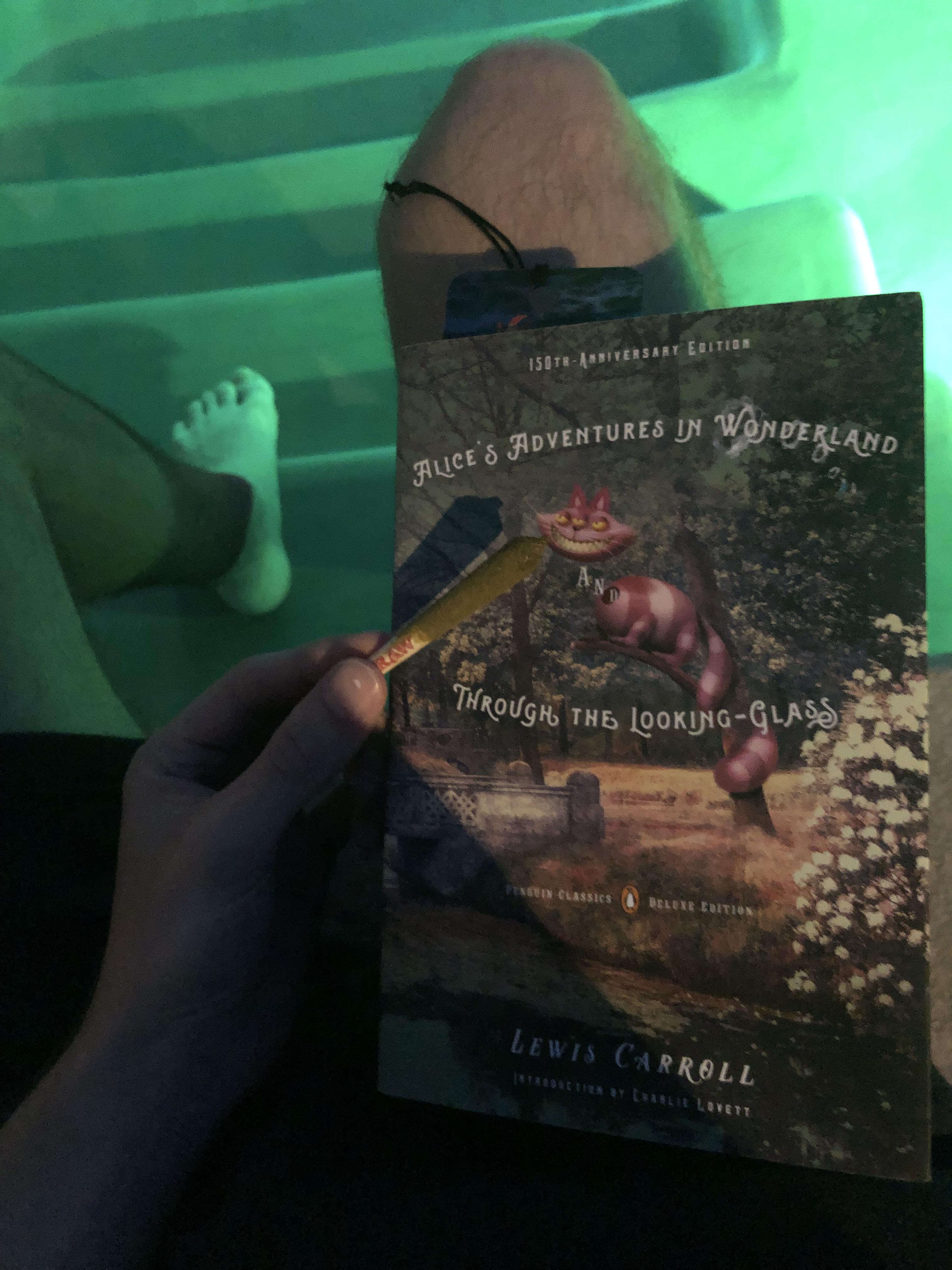 Anyone else like reading stoned? I’m studying English in college and