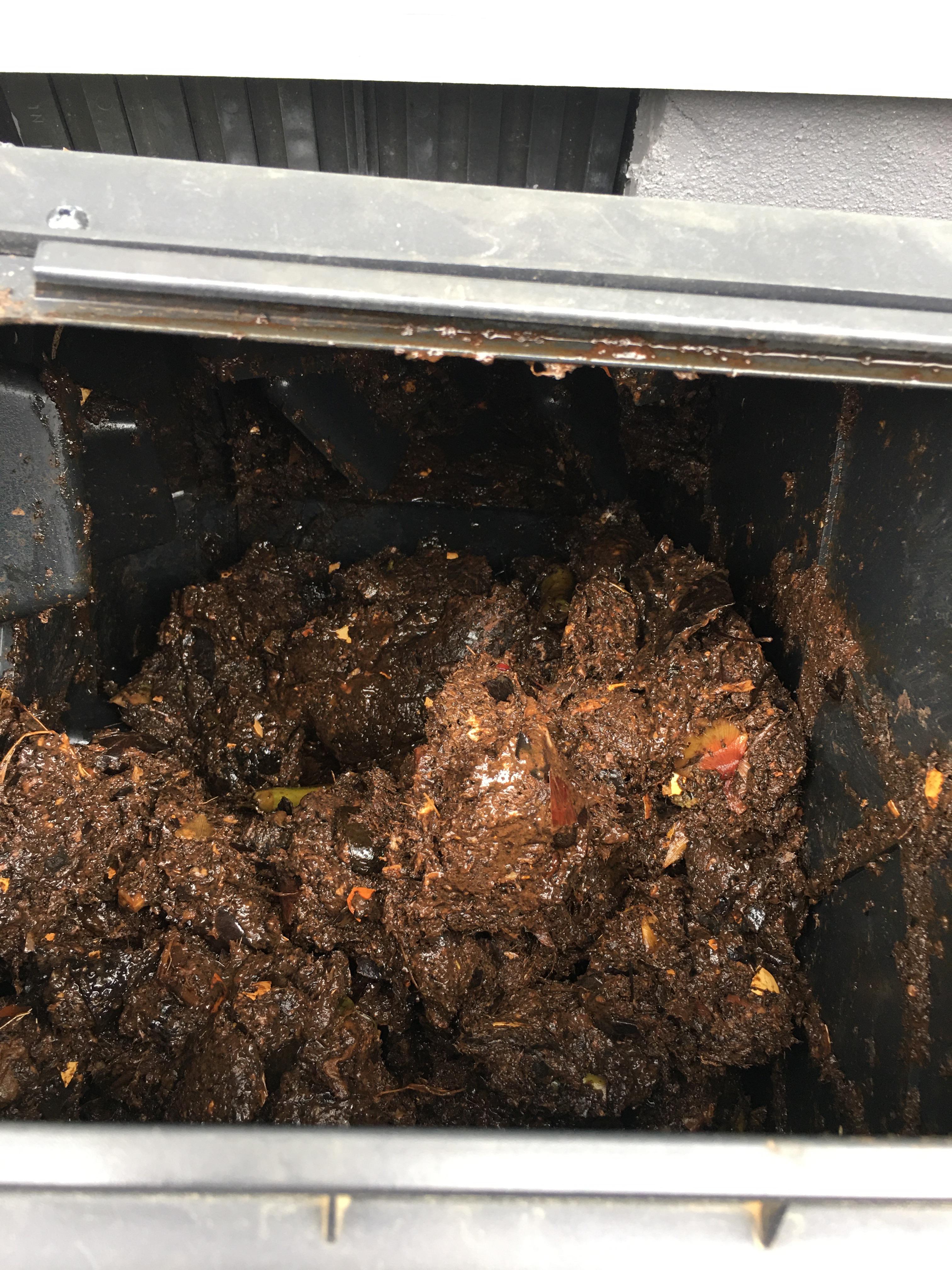 Help! Tumbler compost help needed! This is what our compost looks like
