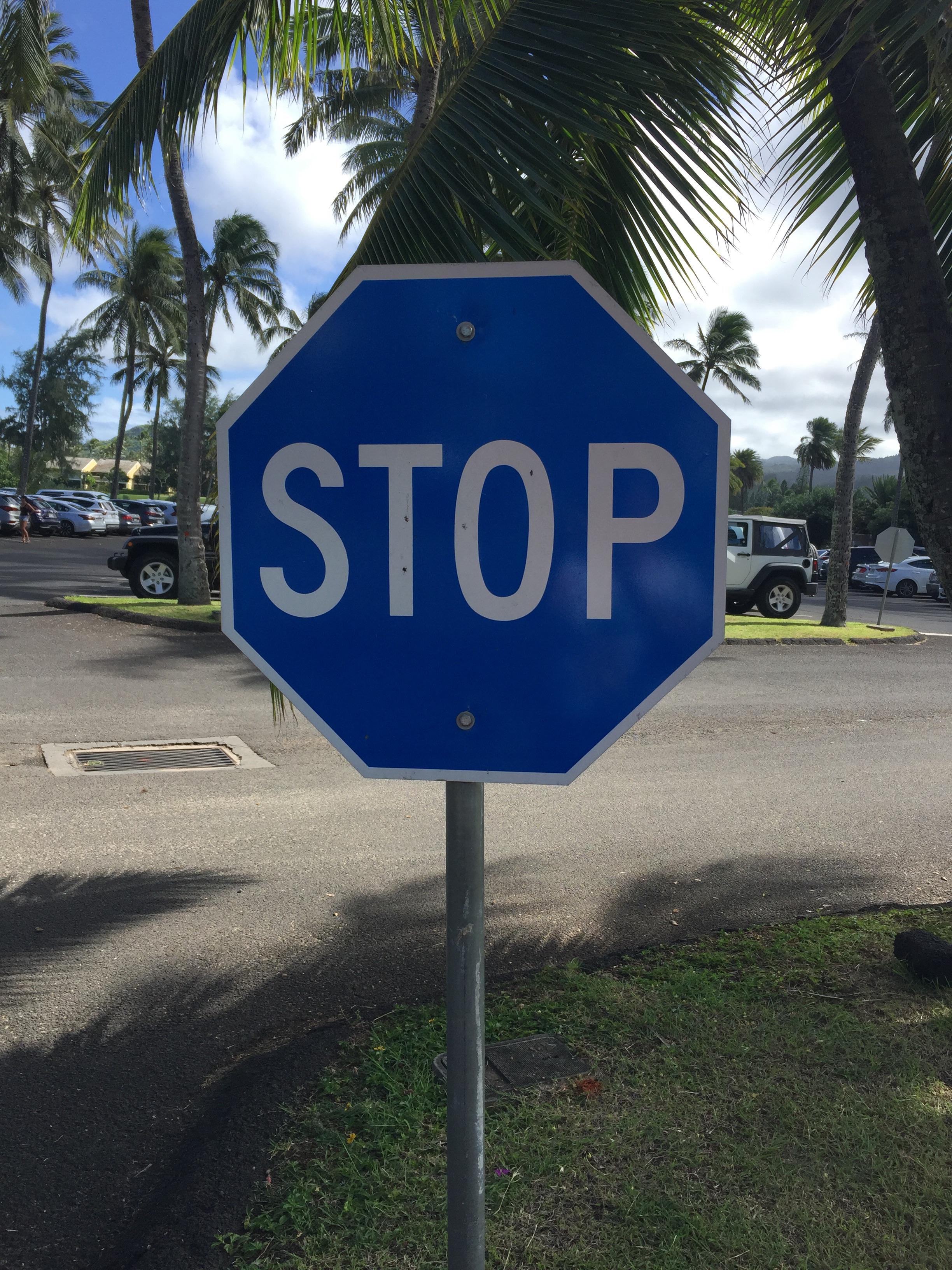 What’s with the blue stop signs.? This one was at Turtle Bay, but you