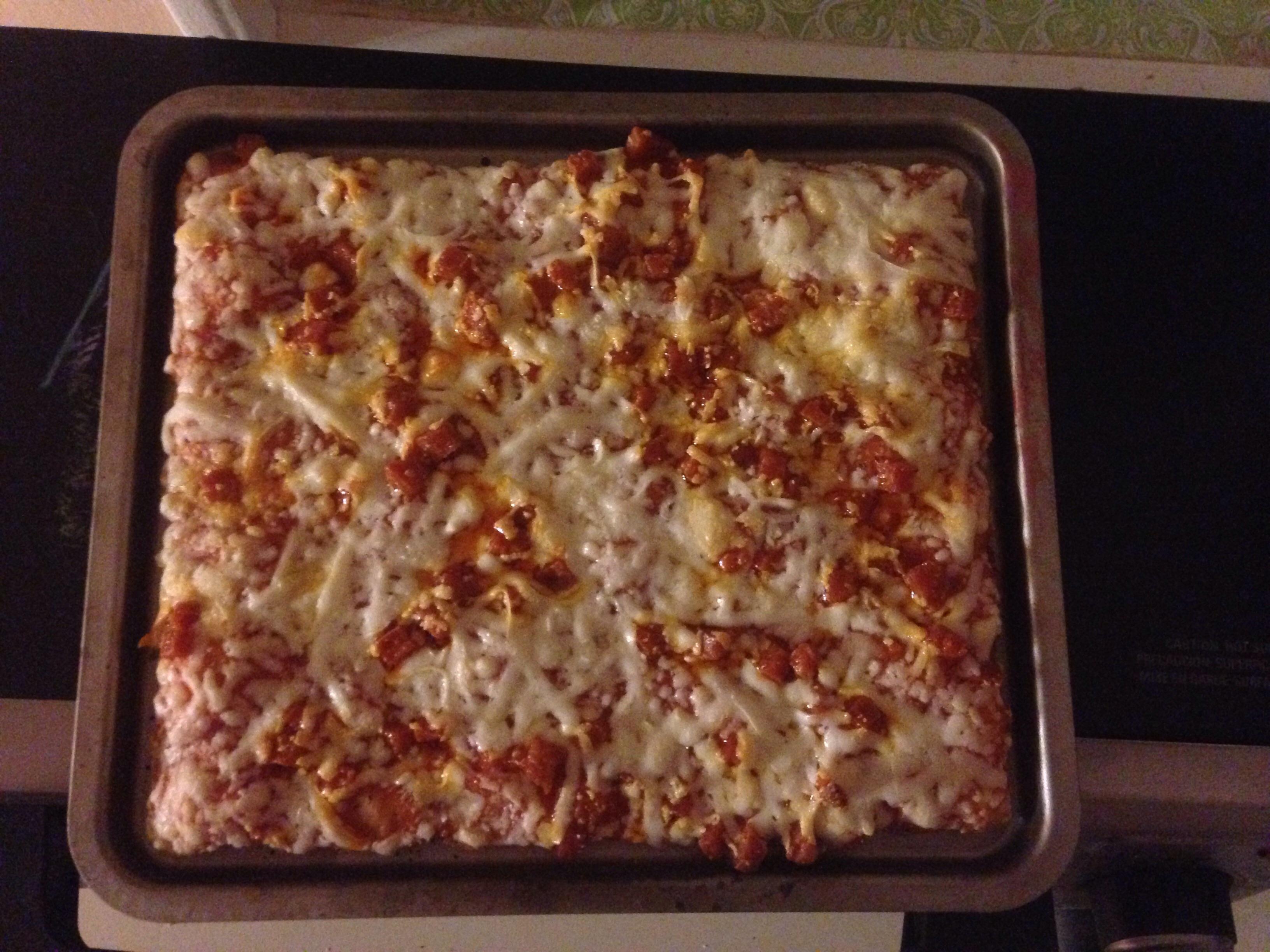 This pizza in my toaster oven tray r/Perfectfit