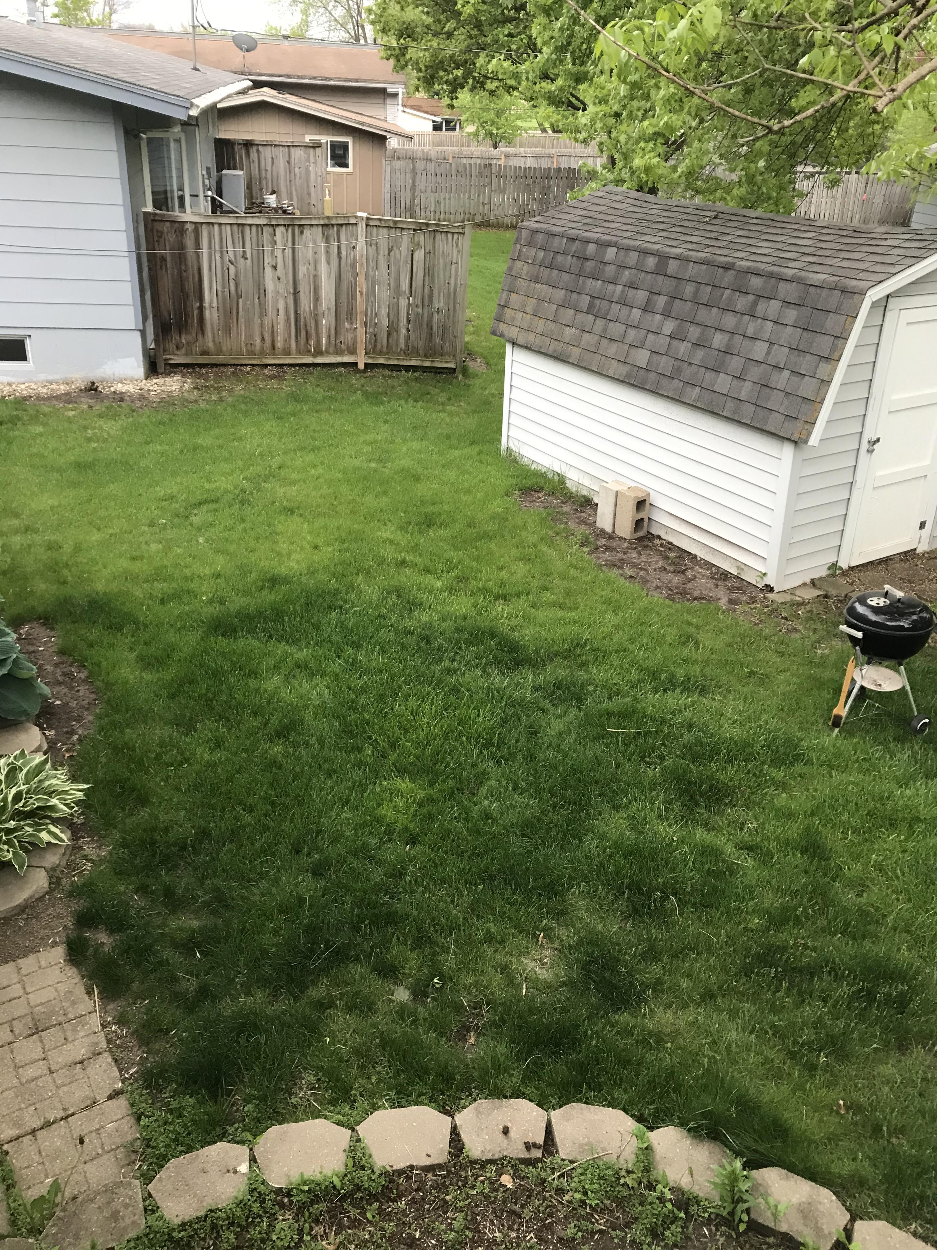 How Do You Fertilize Dog Poop