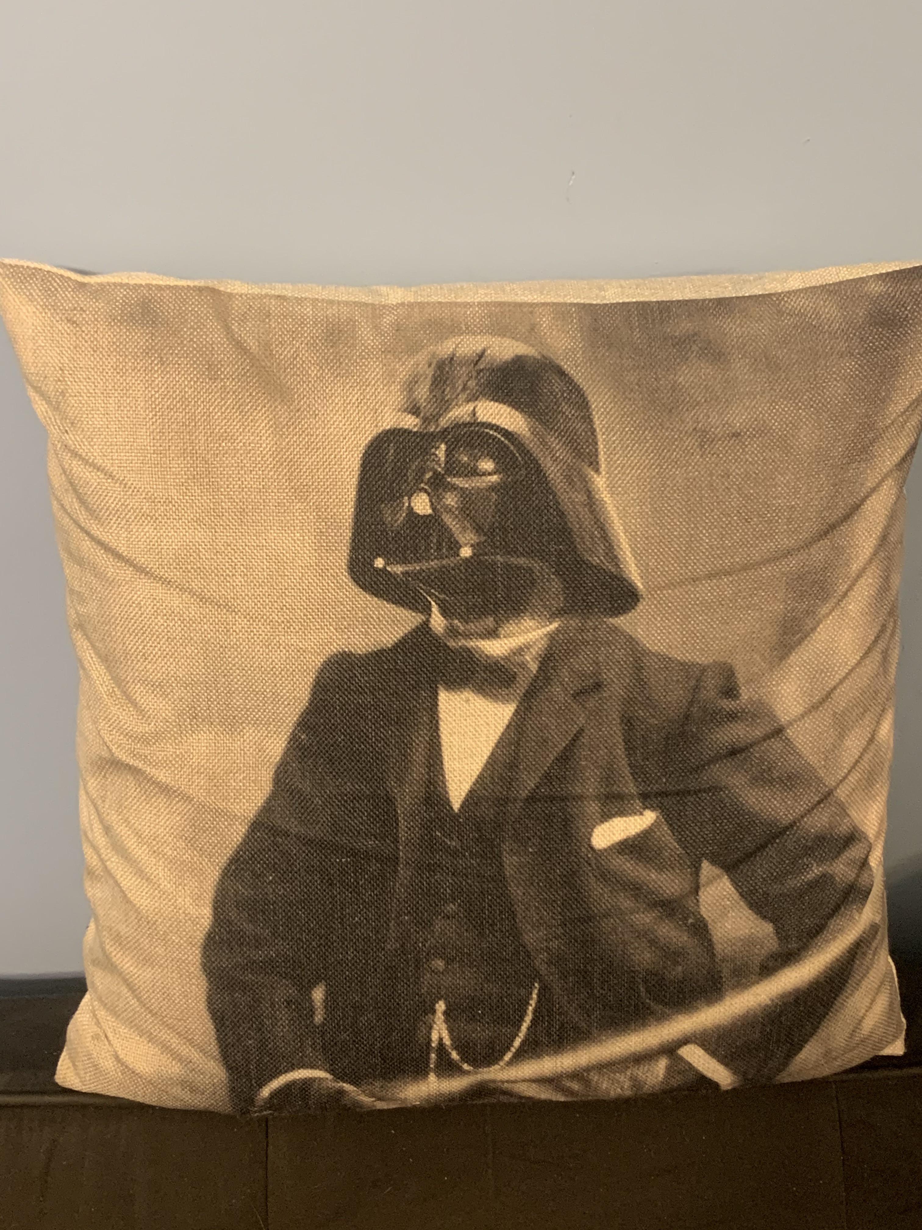 This throw pillow might be my favorite Goodwill find yet! r