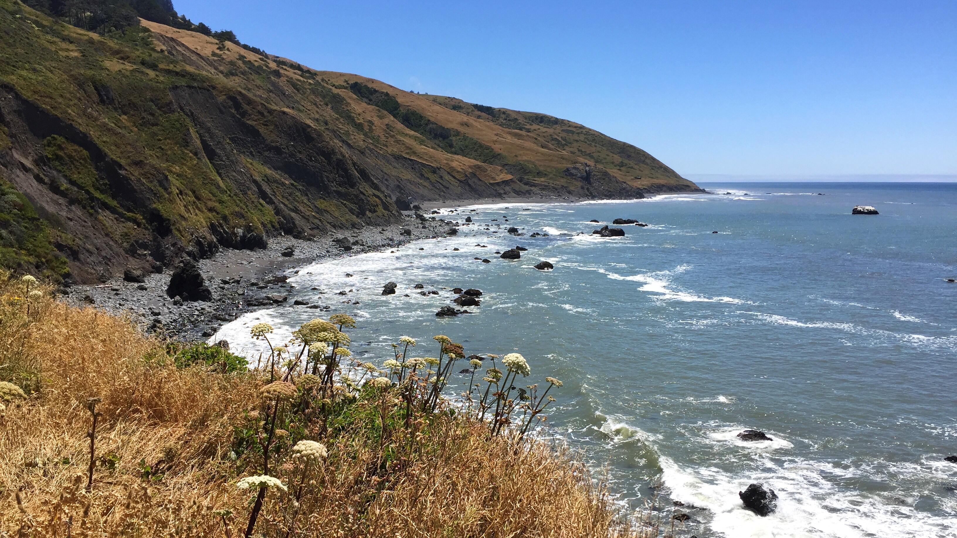 Lost Coast Trail, Northern California r/hiking