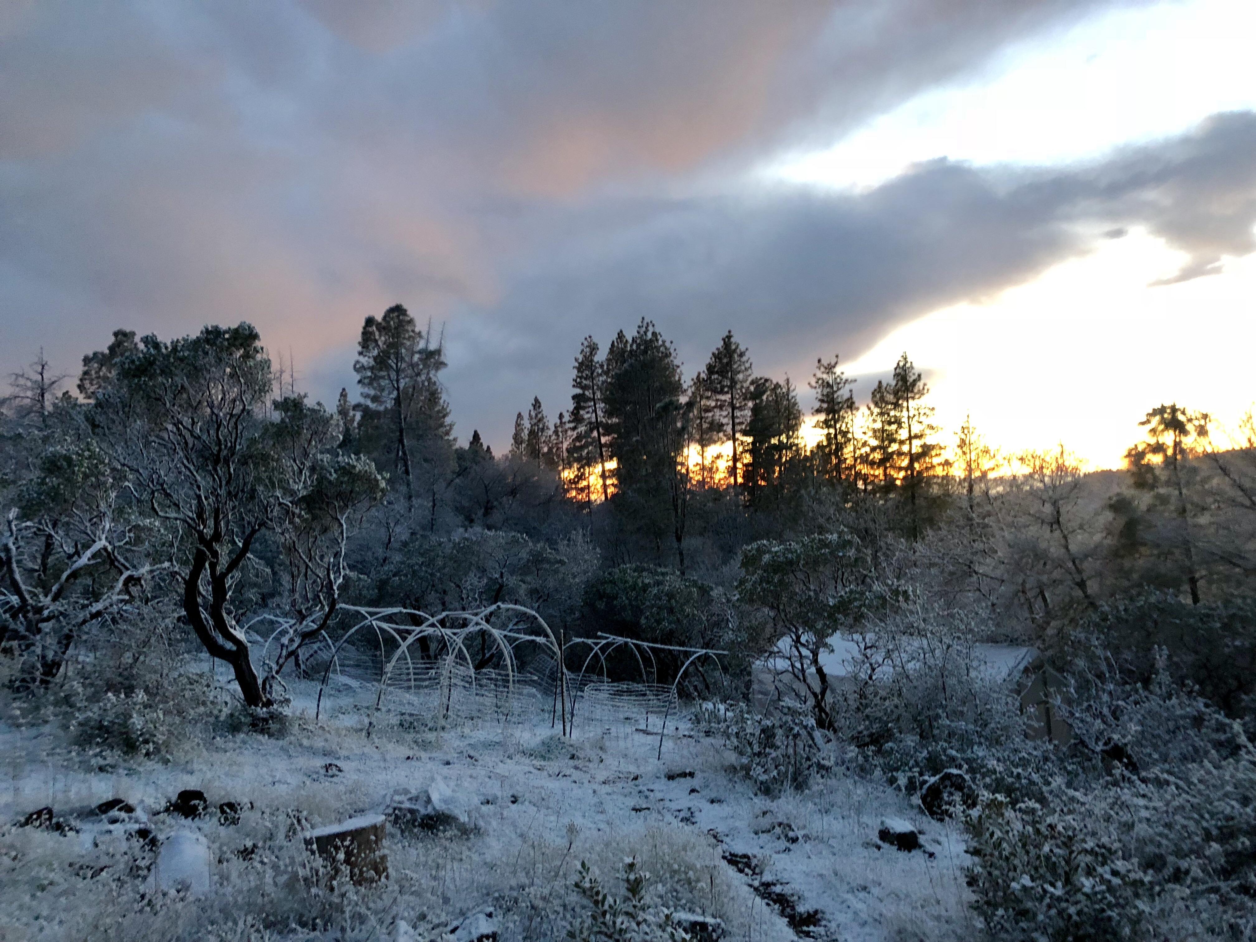 A little cold at night as of late. Babies are safe inside vegging.