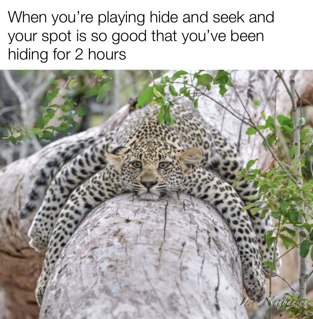 I’m hungry memes